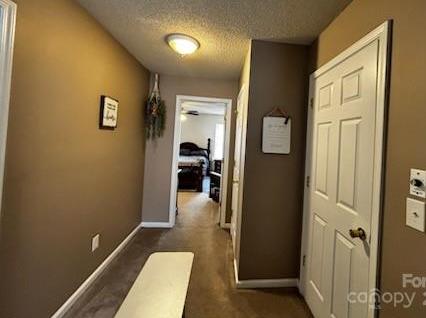 Photo #12