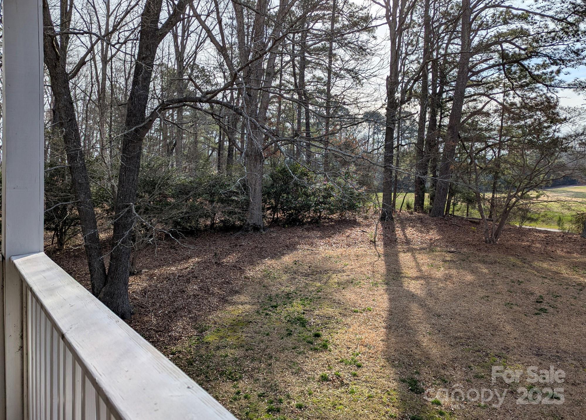 Photo #25