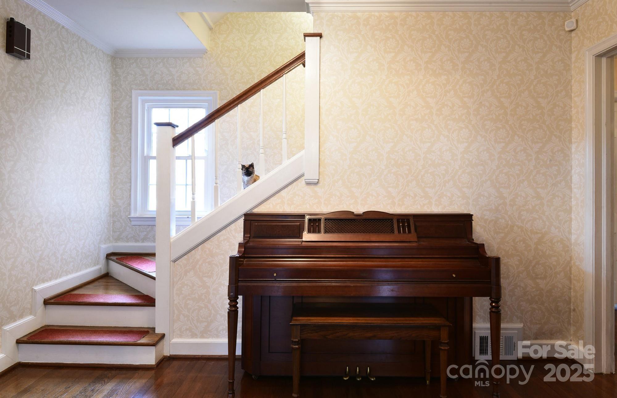 Photo #3