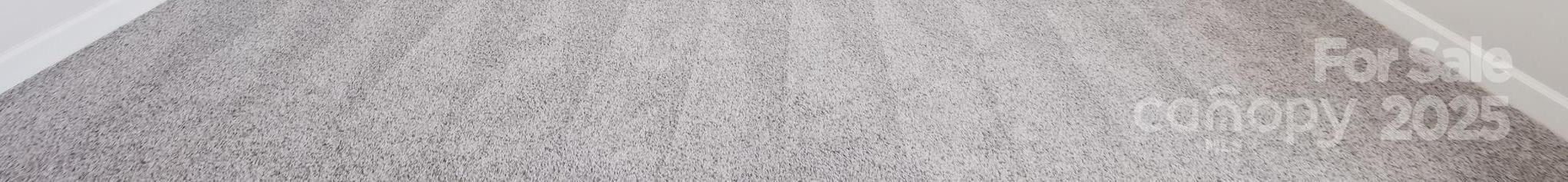 Photo #11