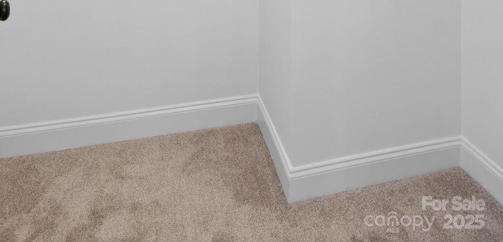 Photo #22