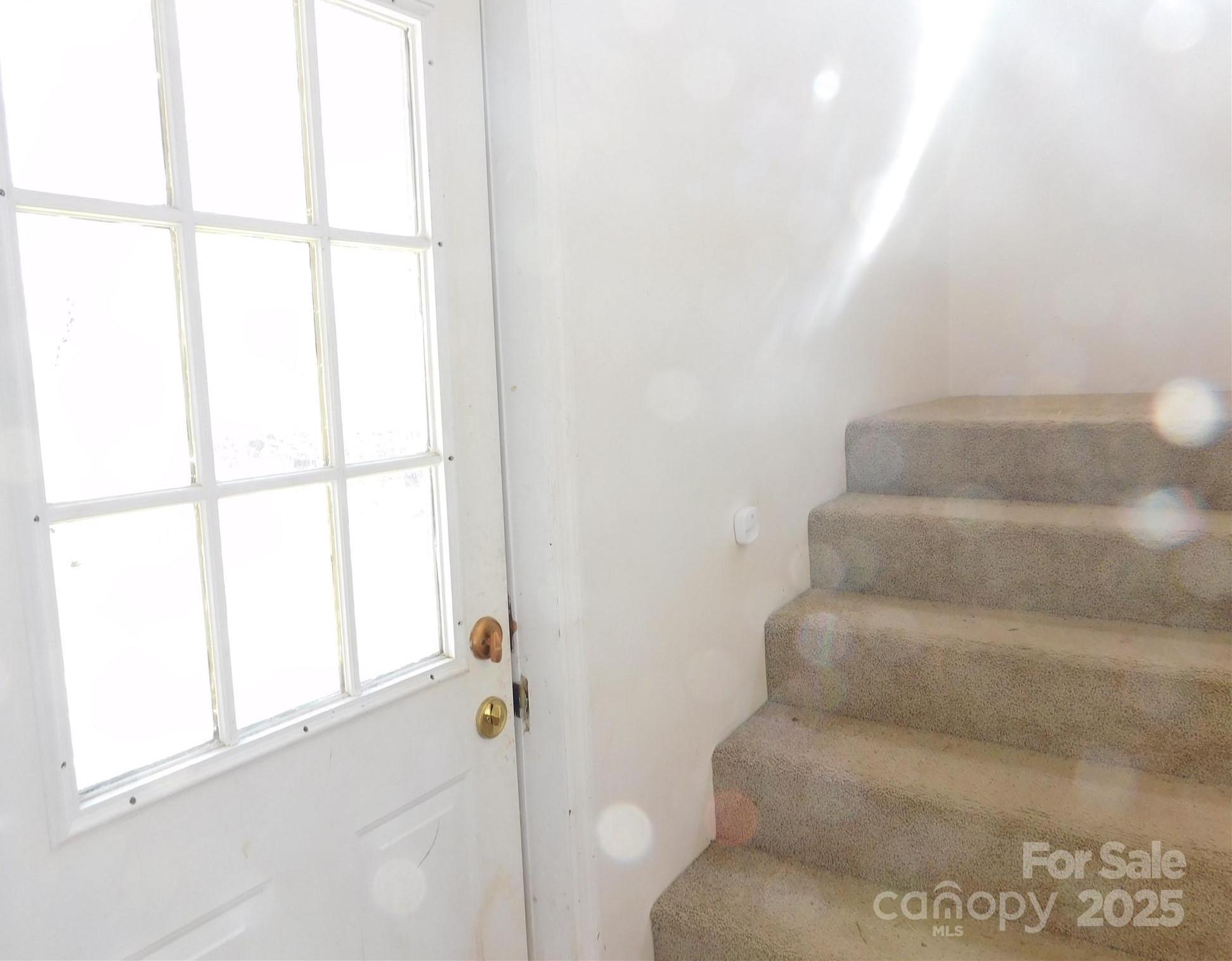 Photo #24