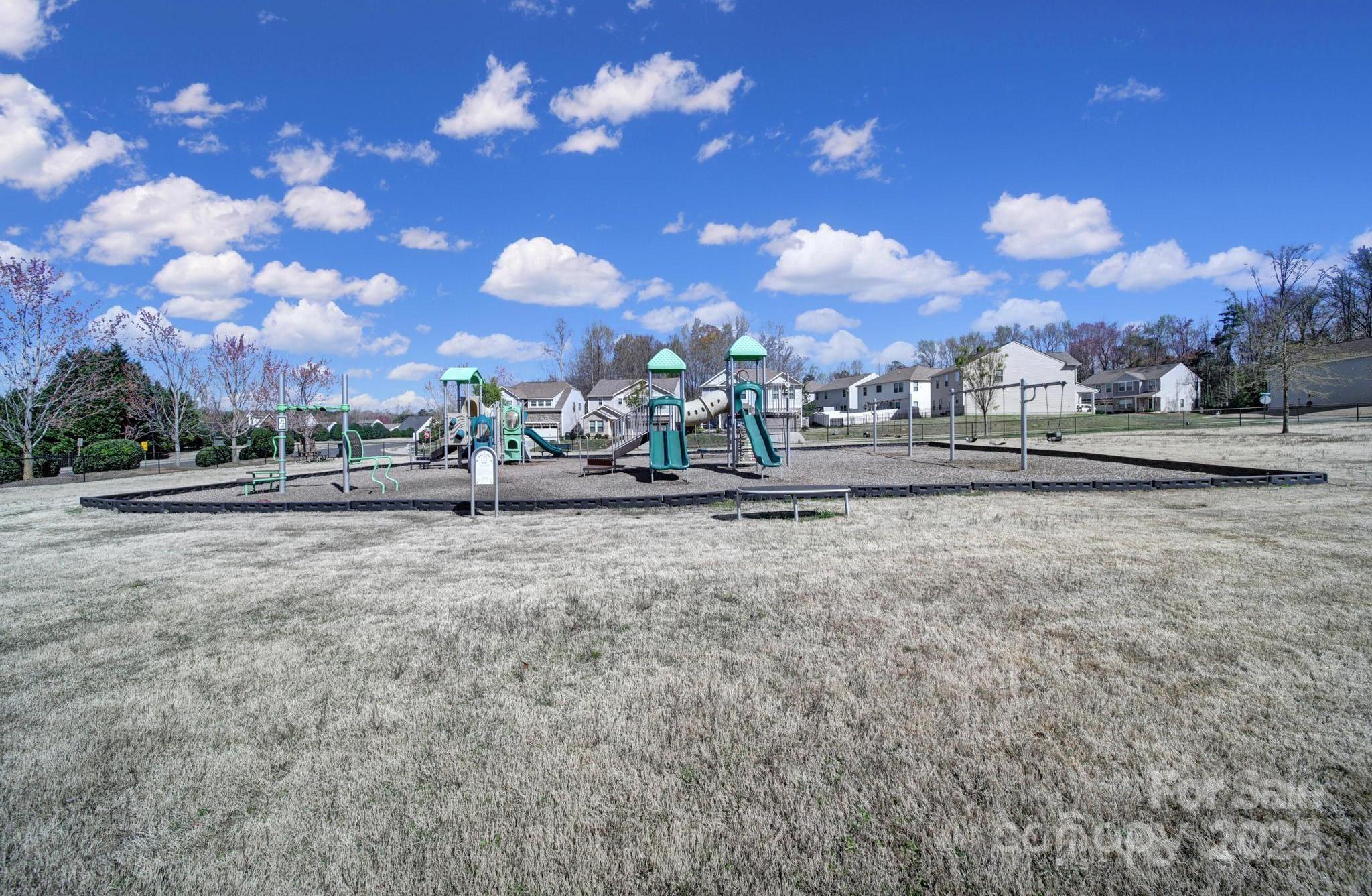 Photo #41