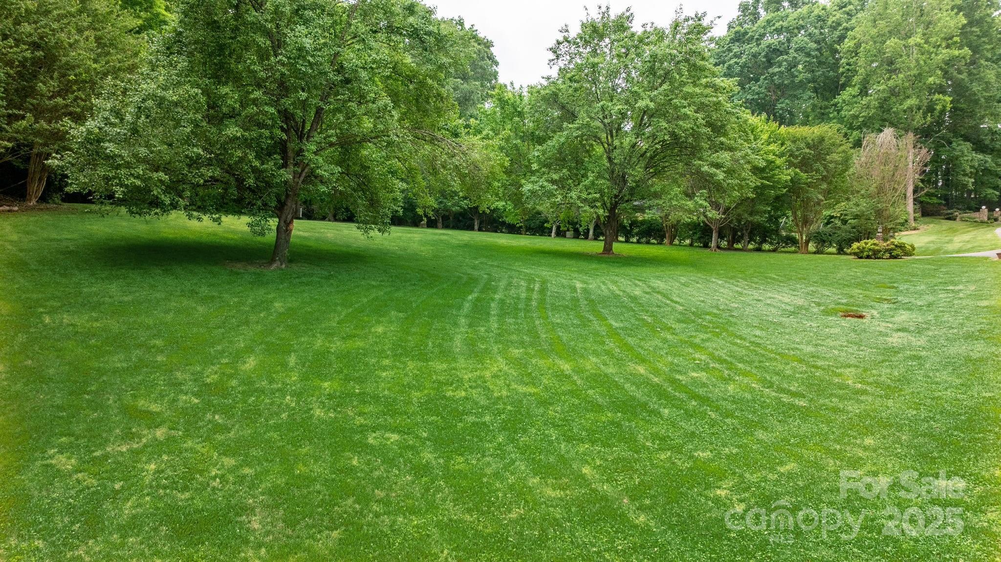 Photo #37