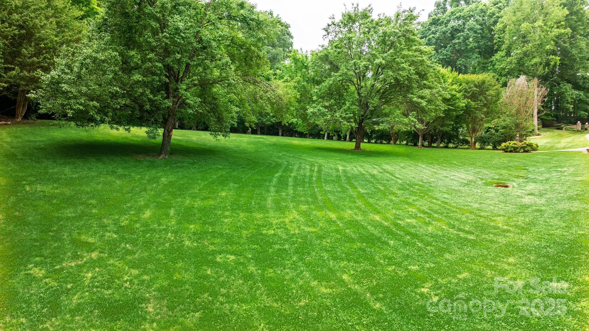 Photo #38