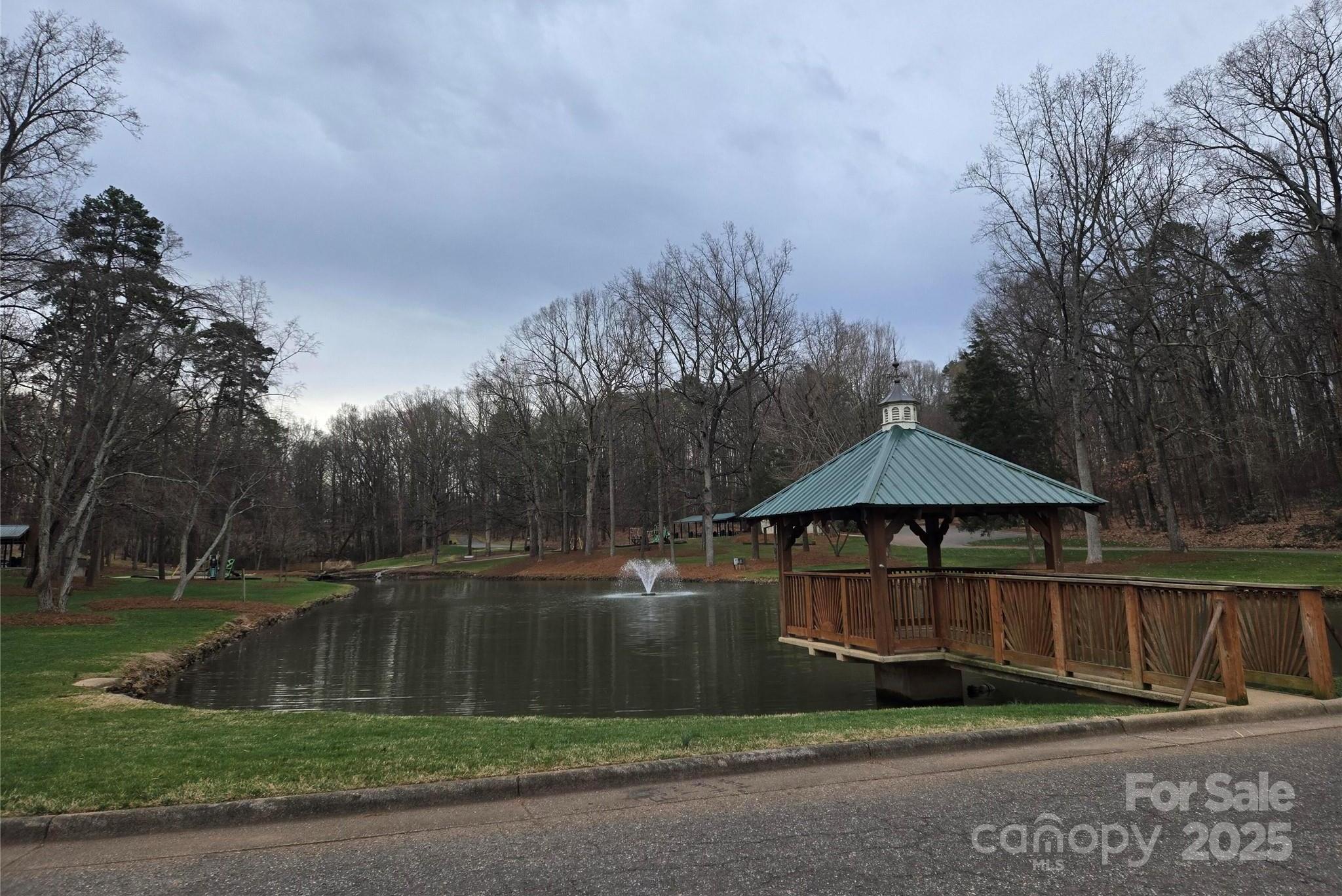 Photo #33