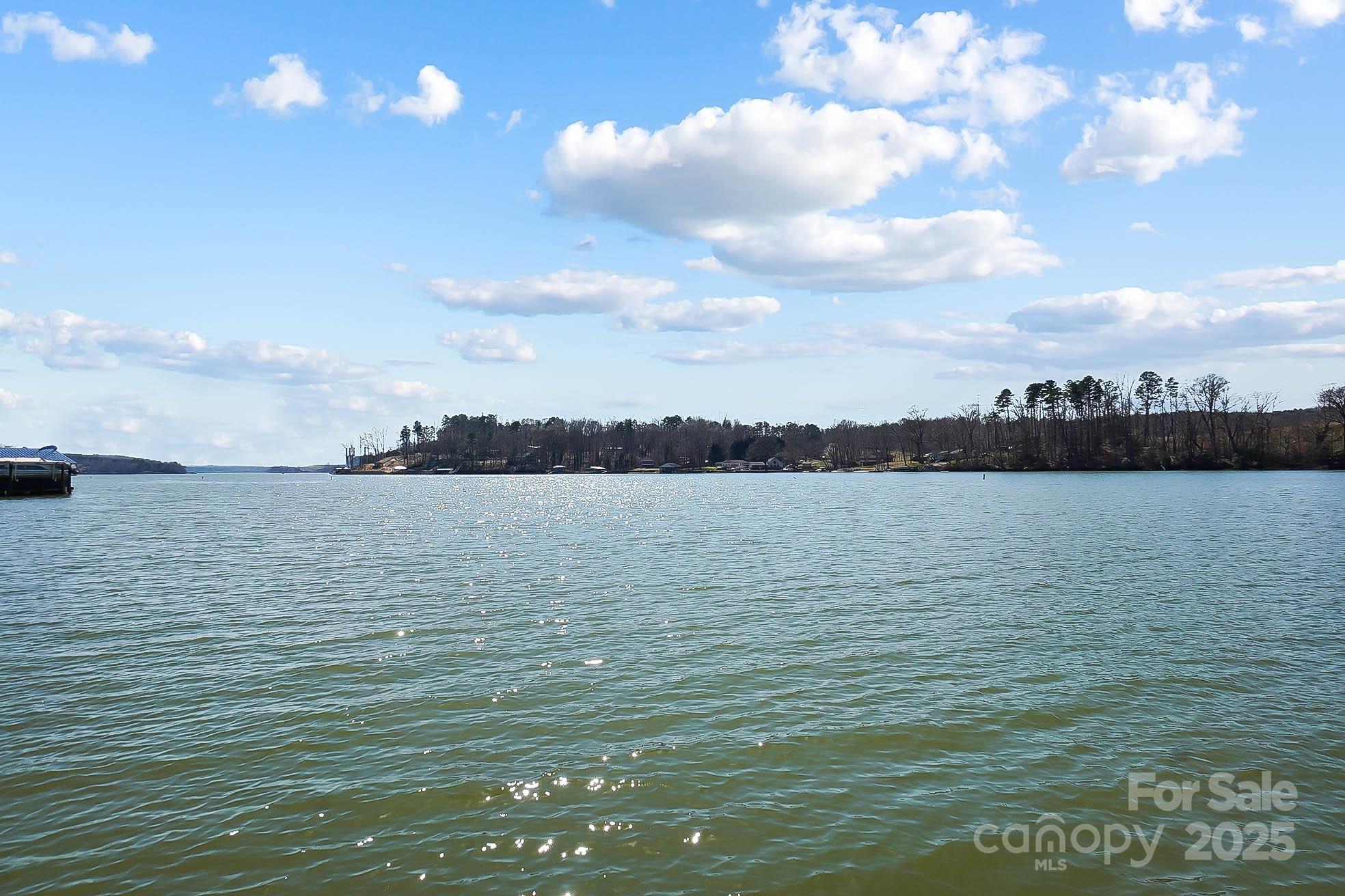 Photo #45