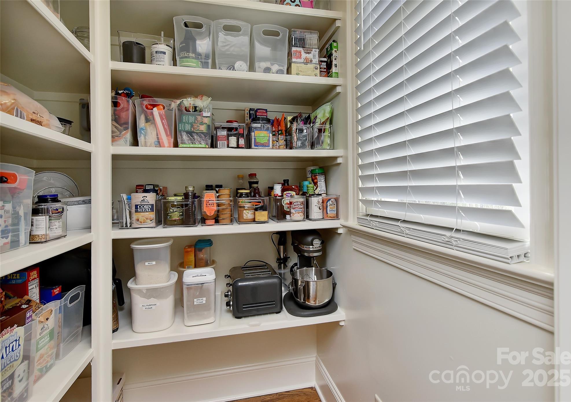 Photo #14
