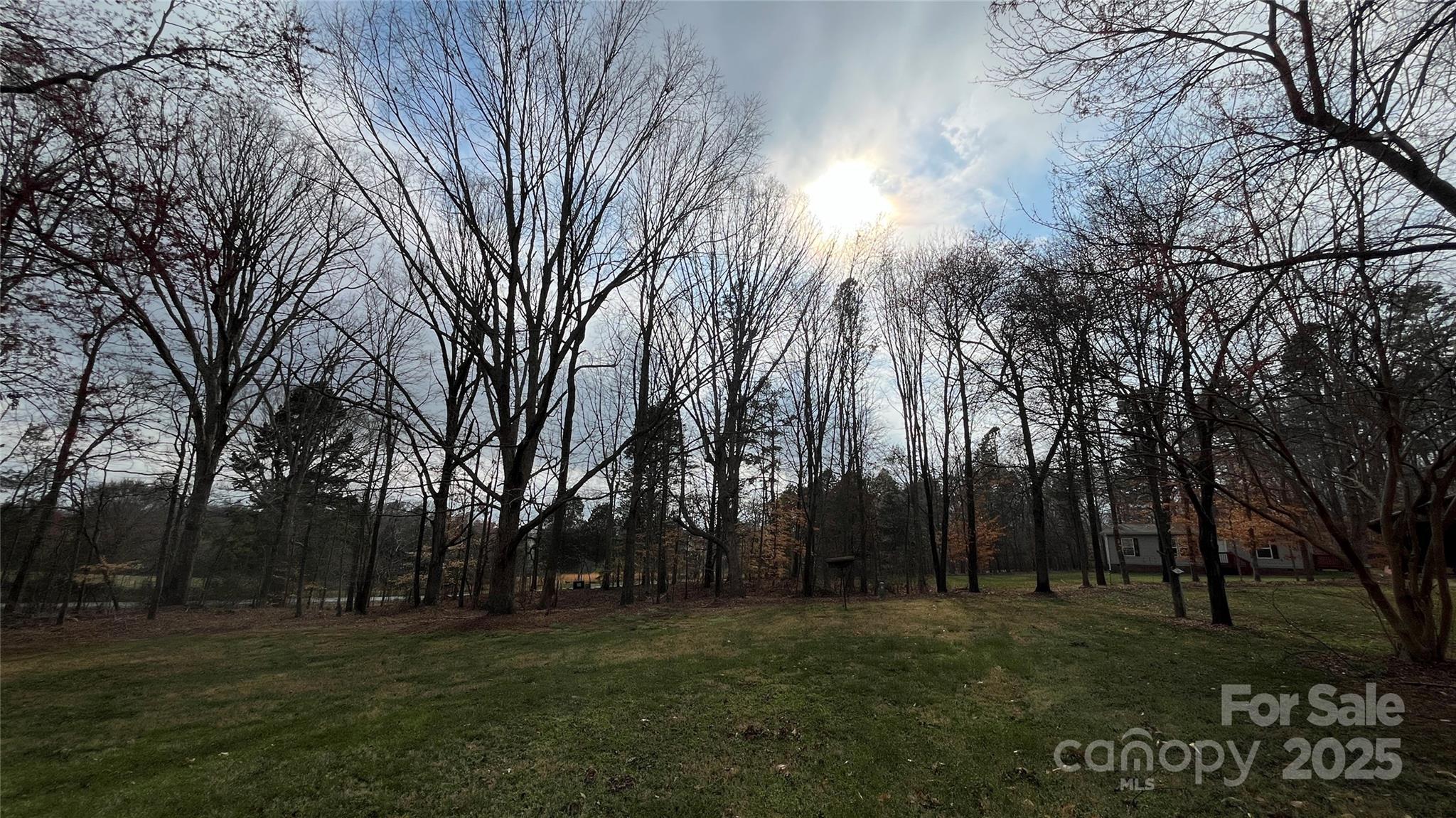 Photo #24