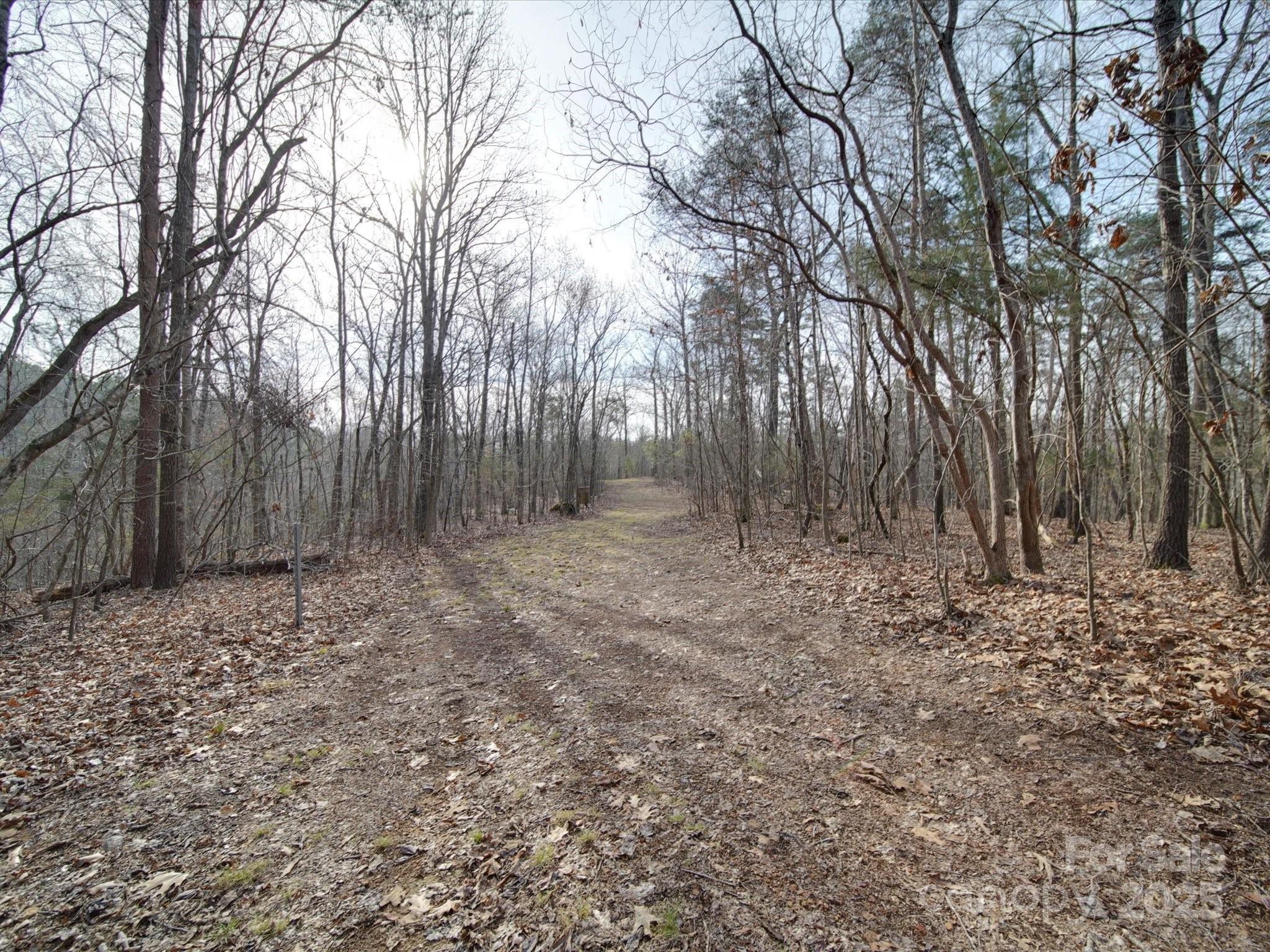 Photo #45