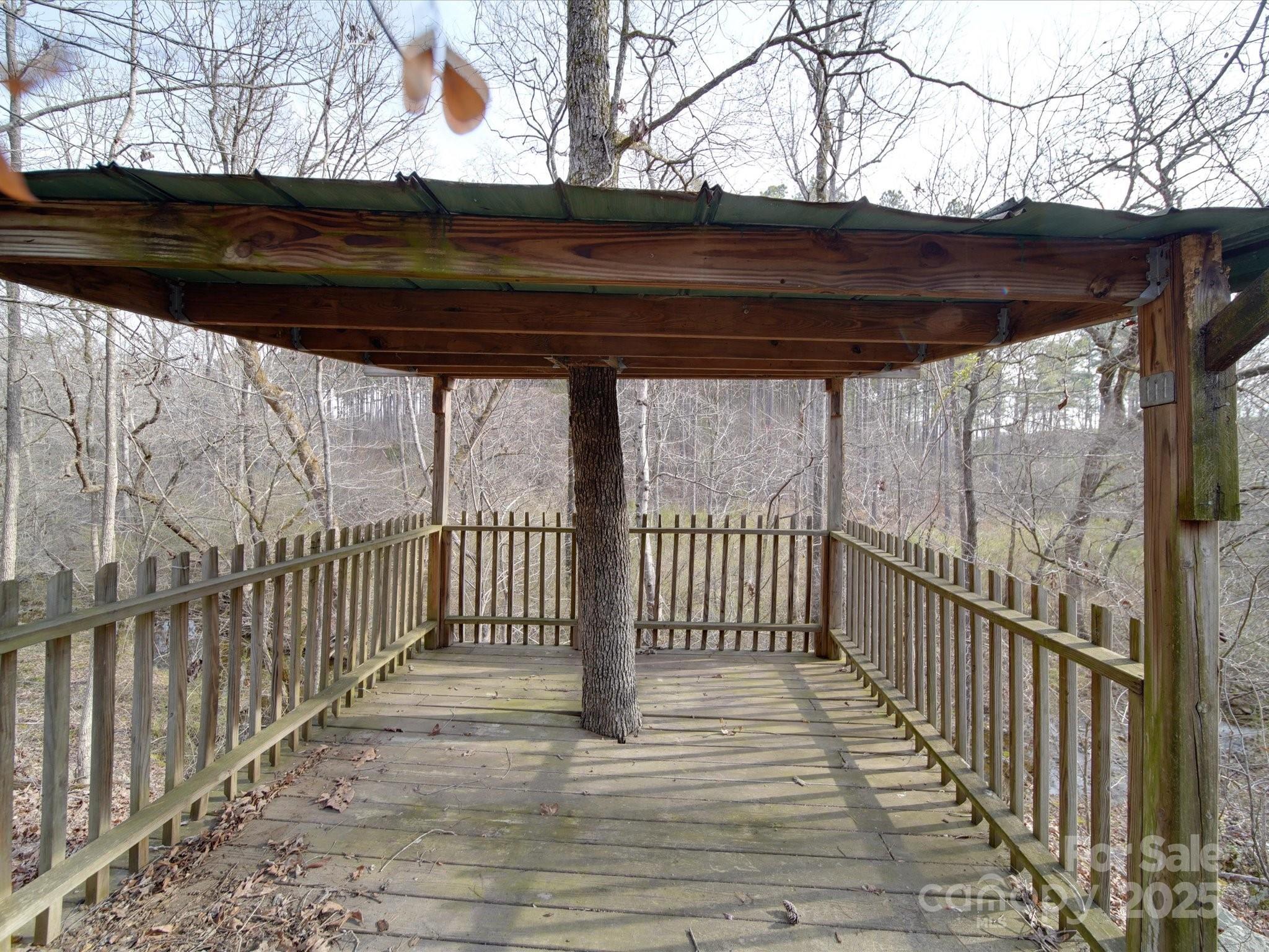 Photo #38