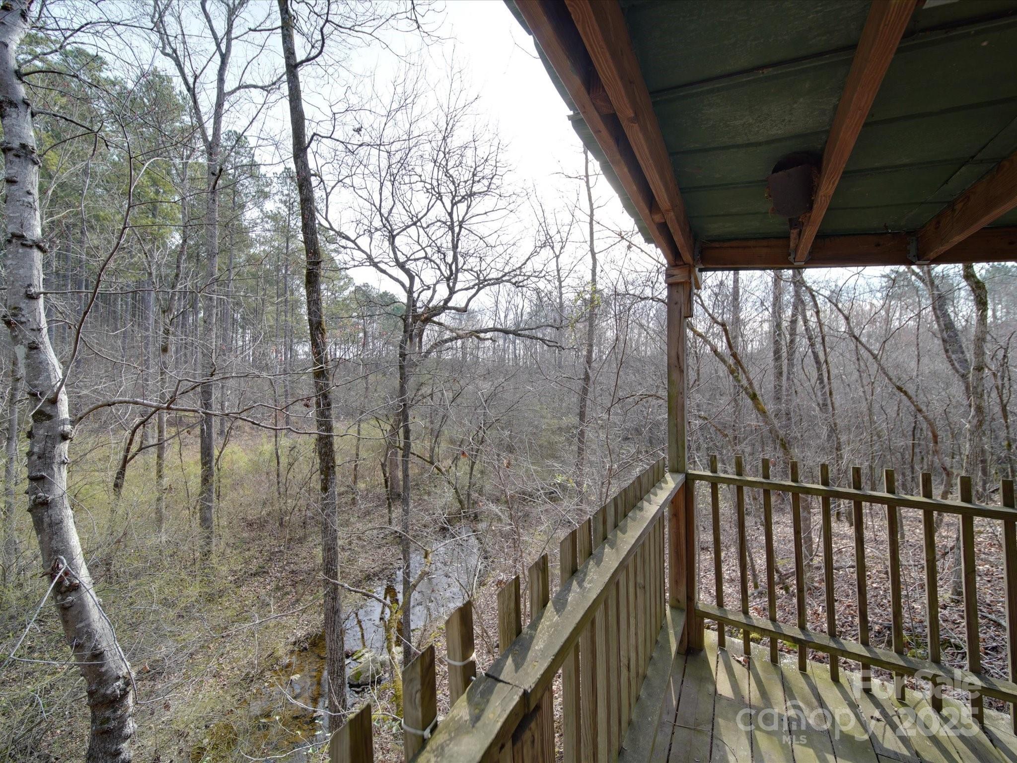 Photo #39