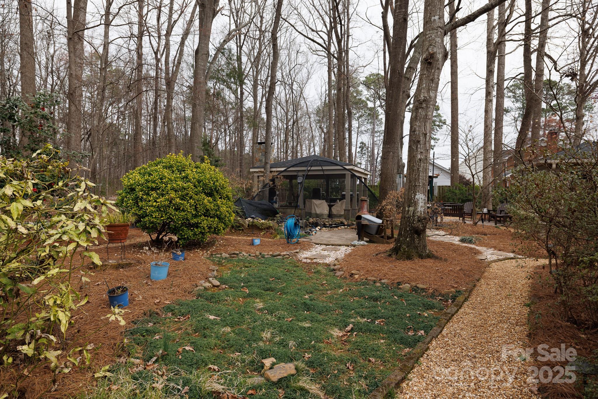 Photo #37