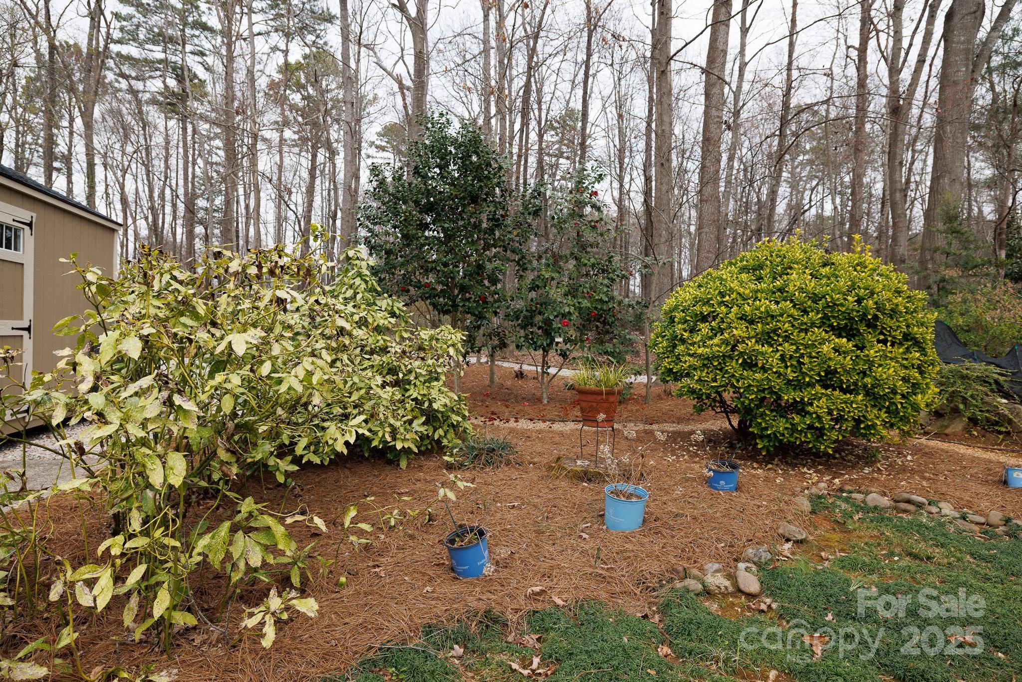Photo #39