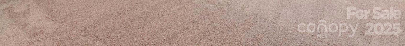 Photo #10