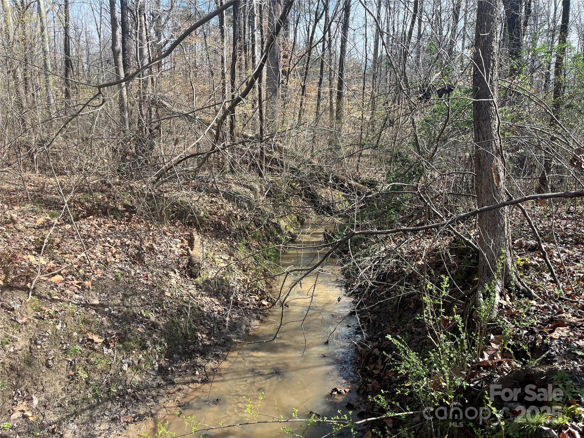 Photo #36
