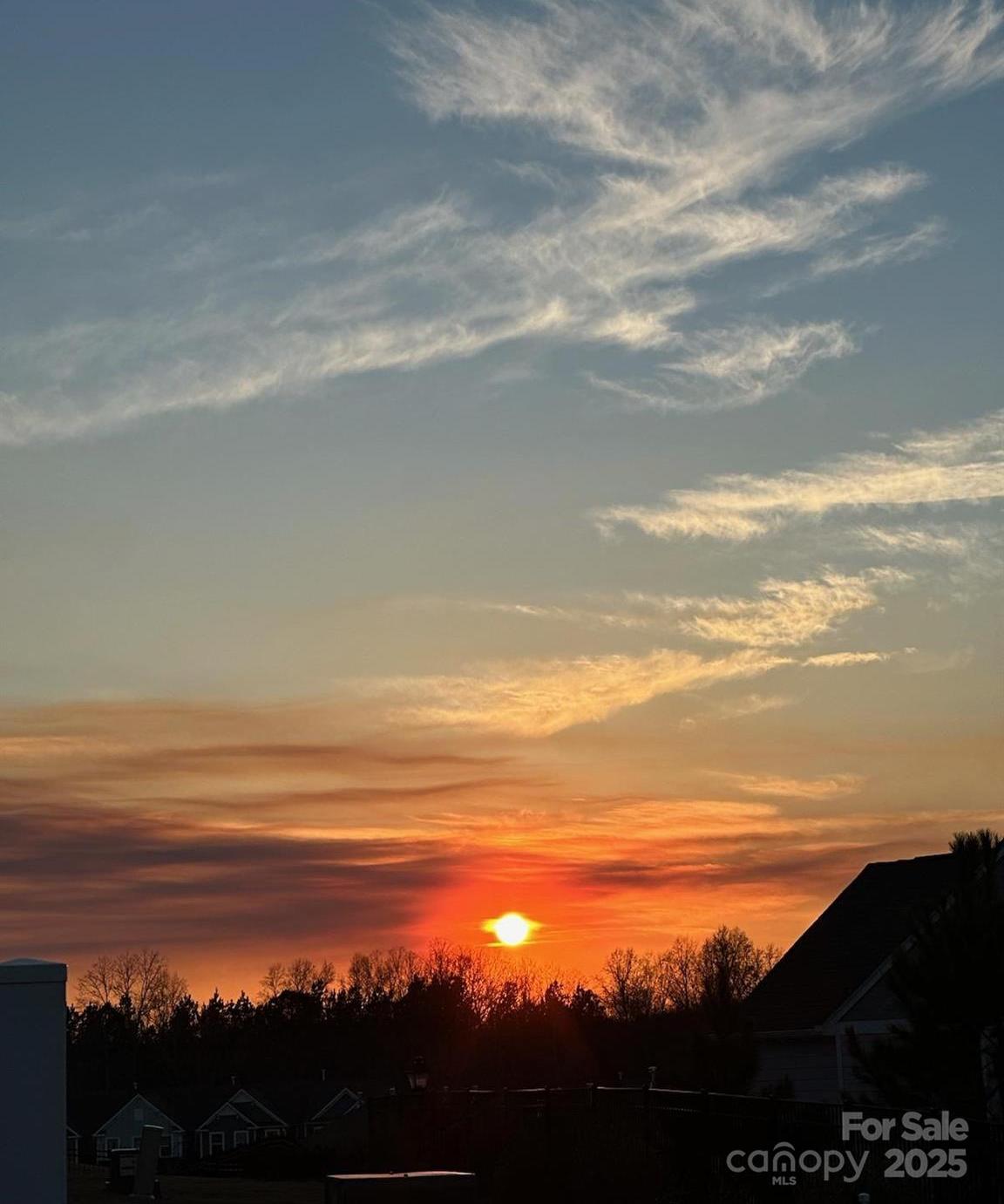 Photo #46
