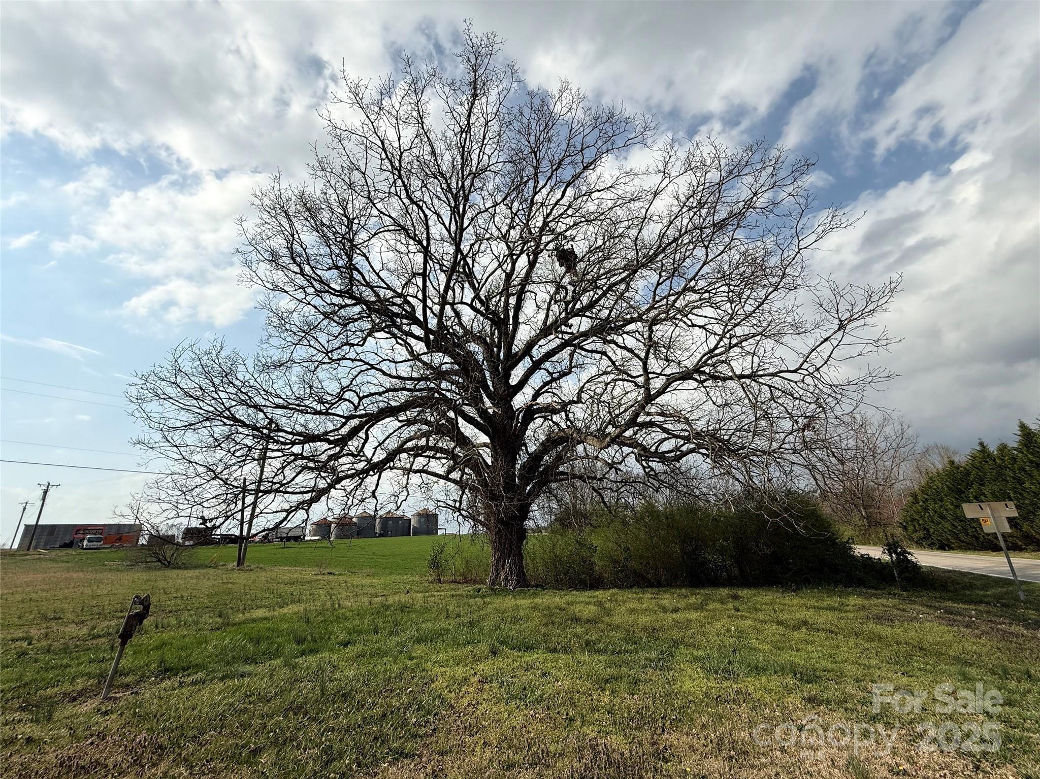 Photo #24