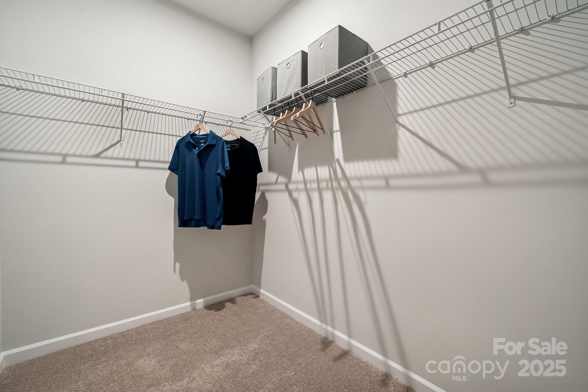 Photo #14