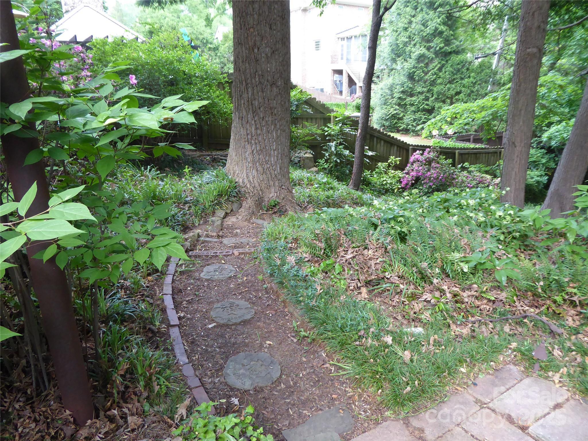 Photo #37