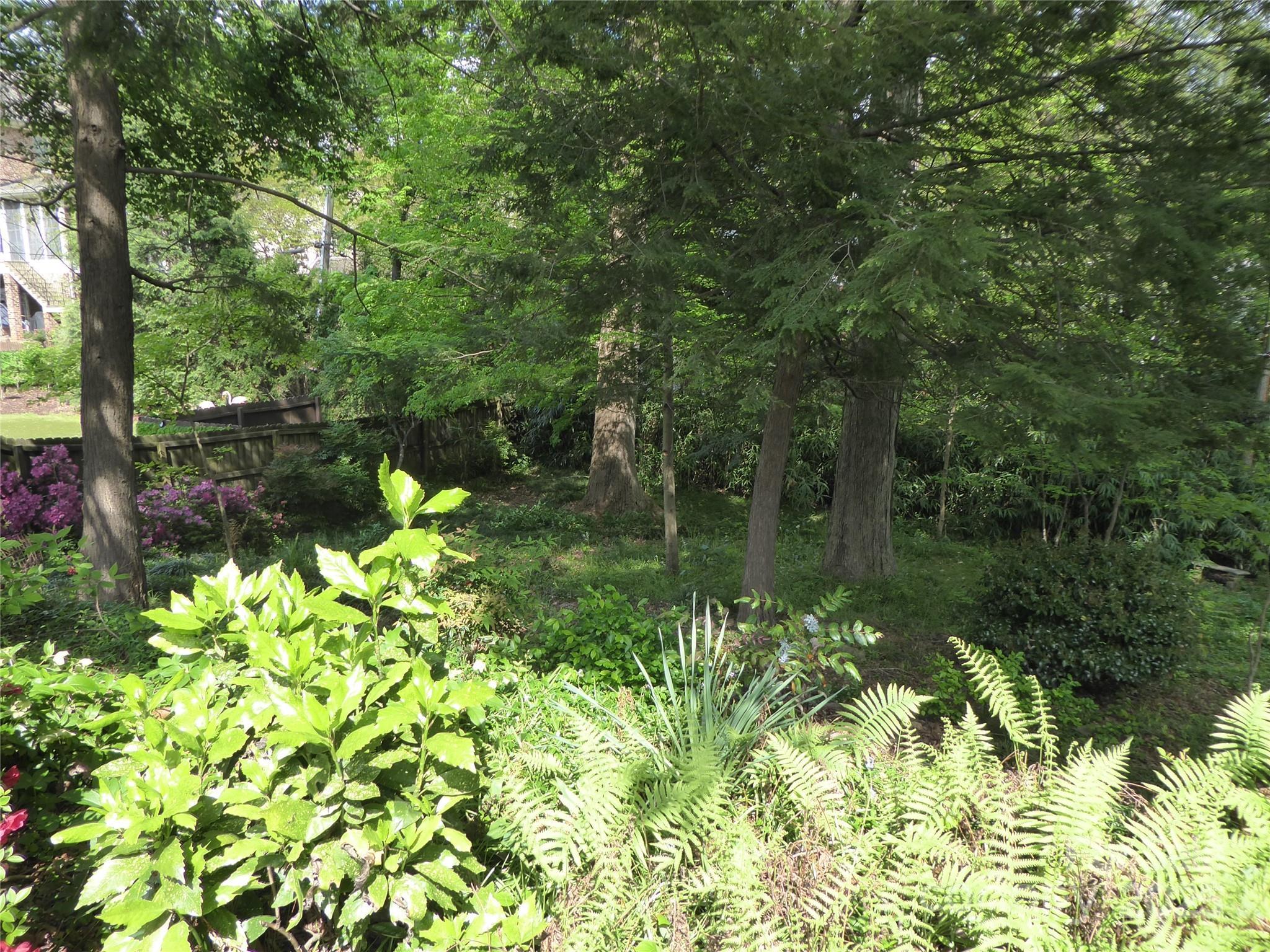 Photo #41