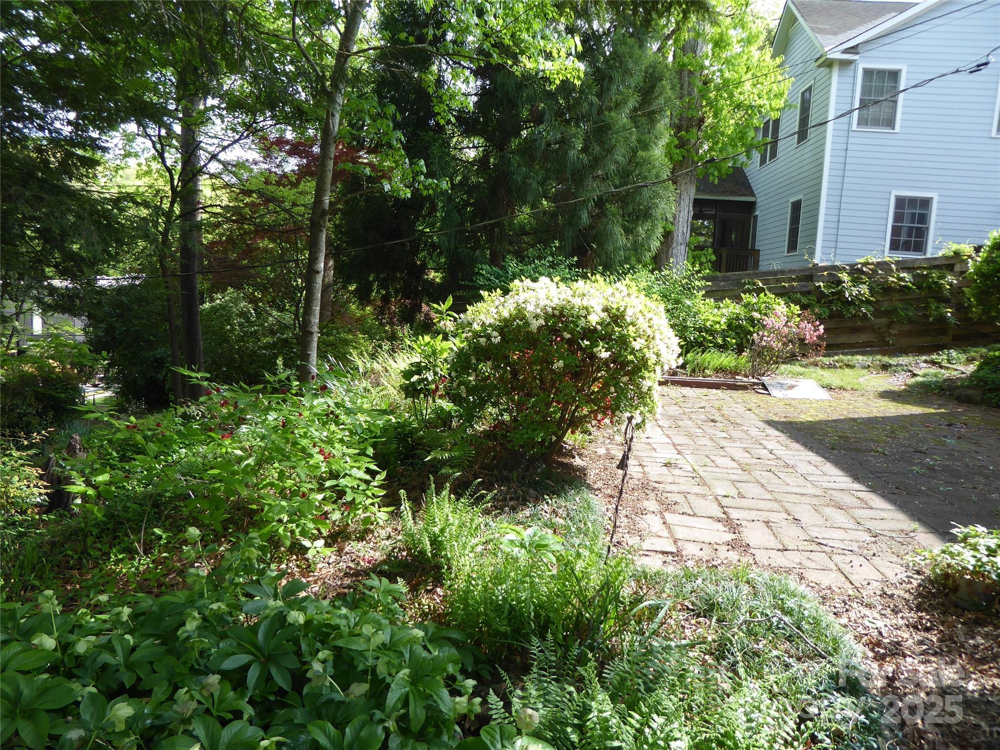 Photo #36