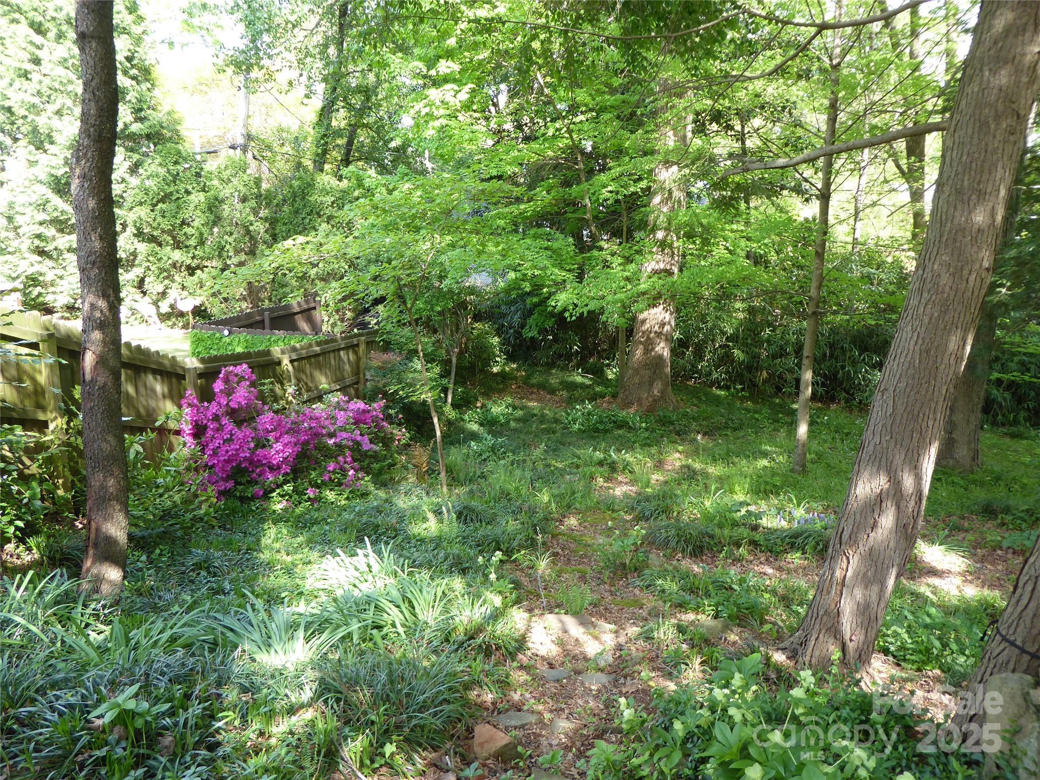Photo #38