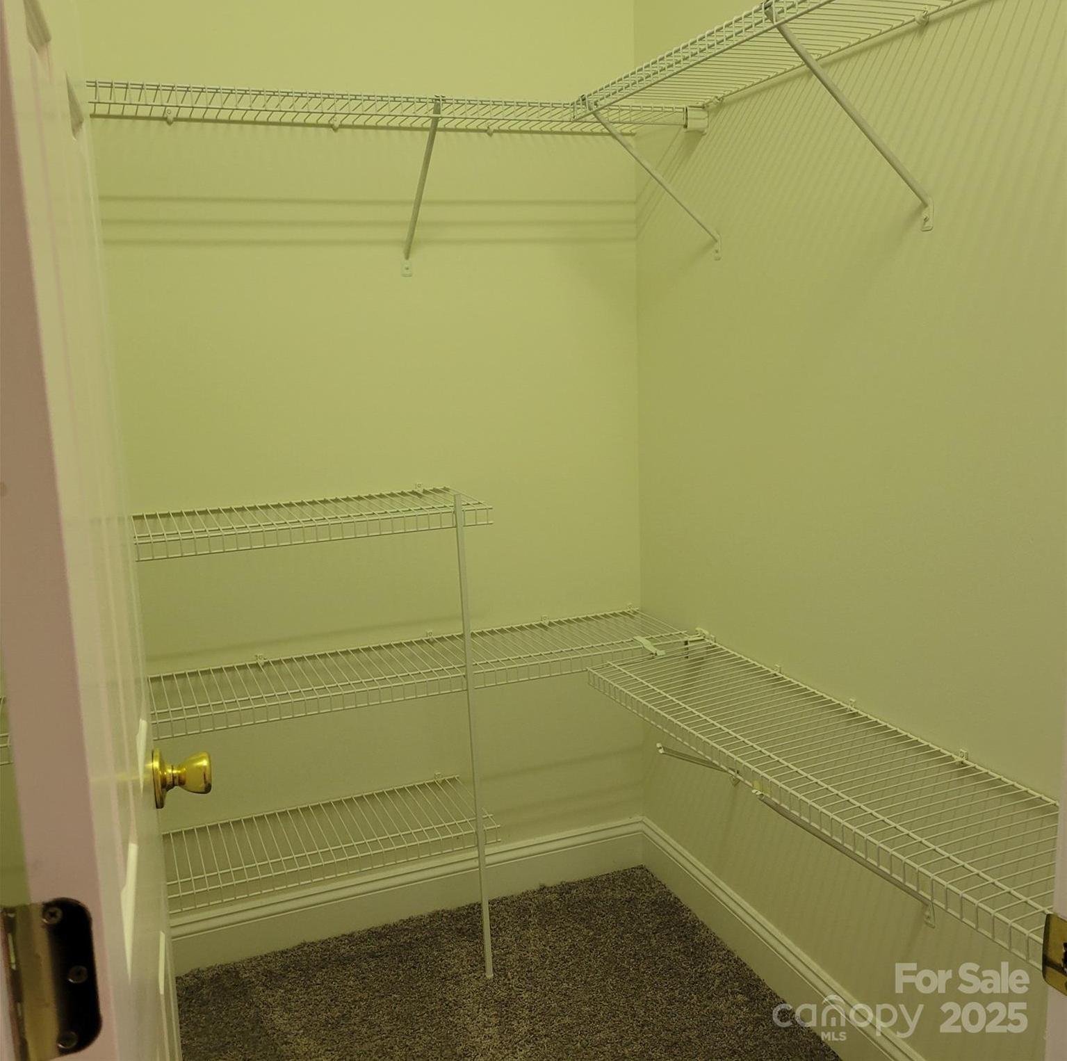 Photo #28