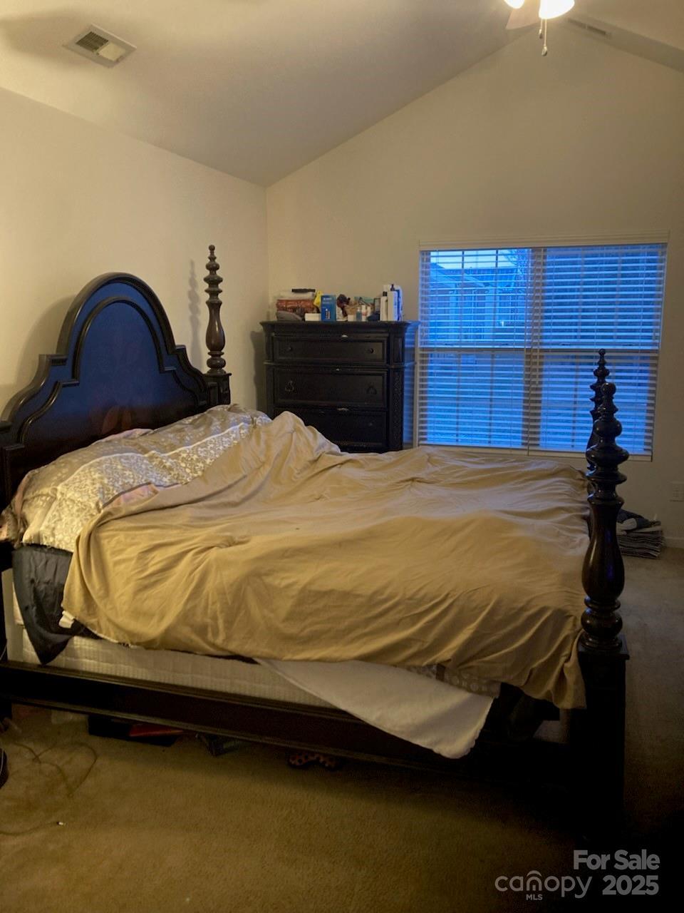 Photo #12