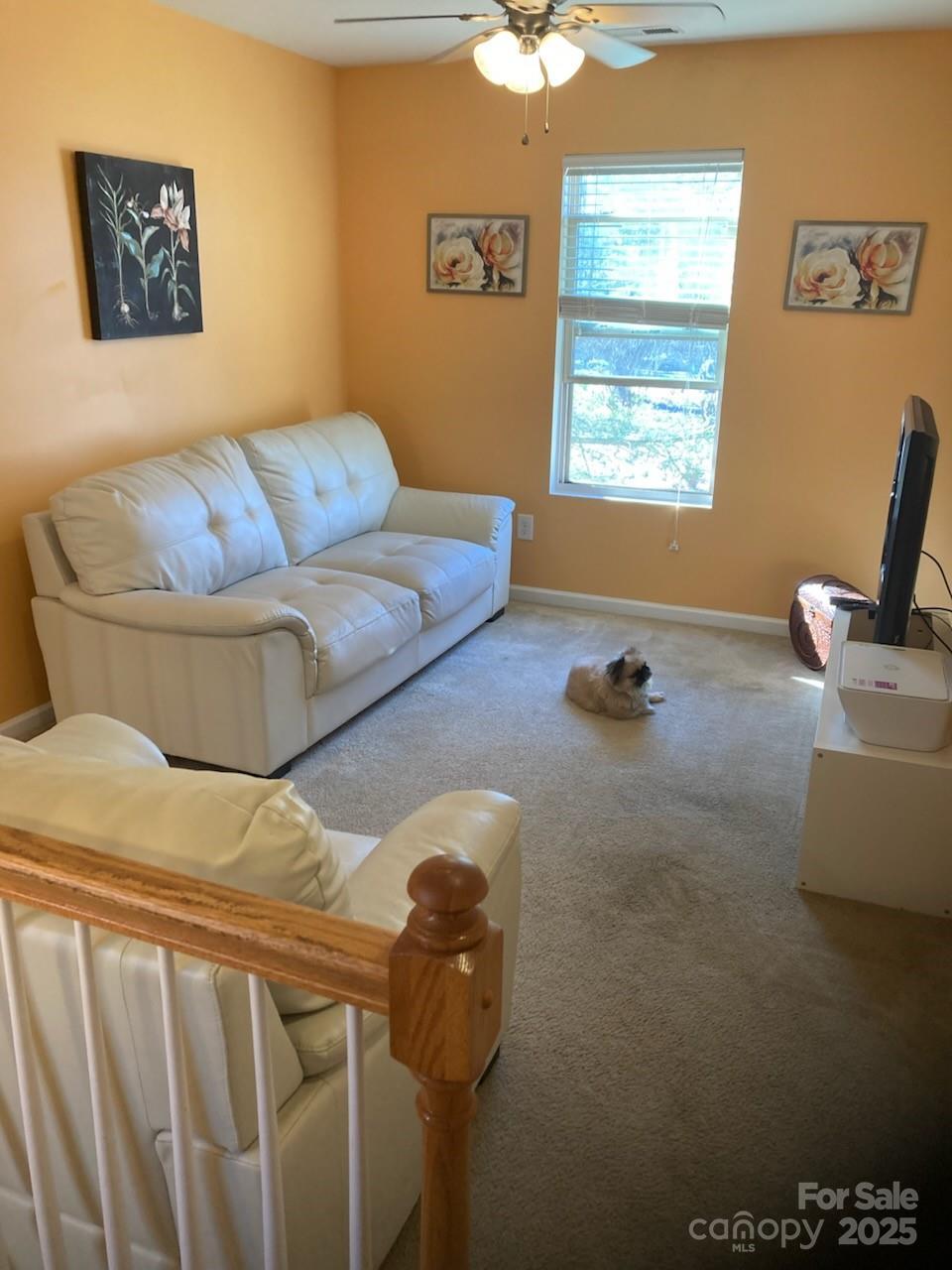 Photo #8