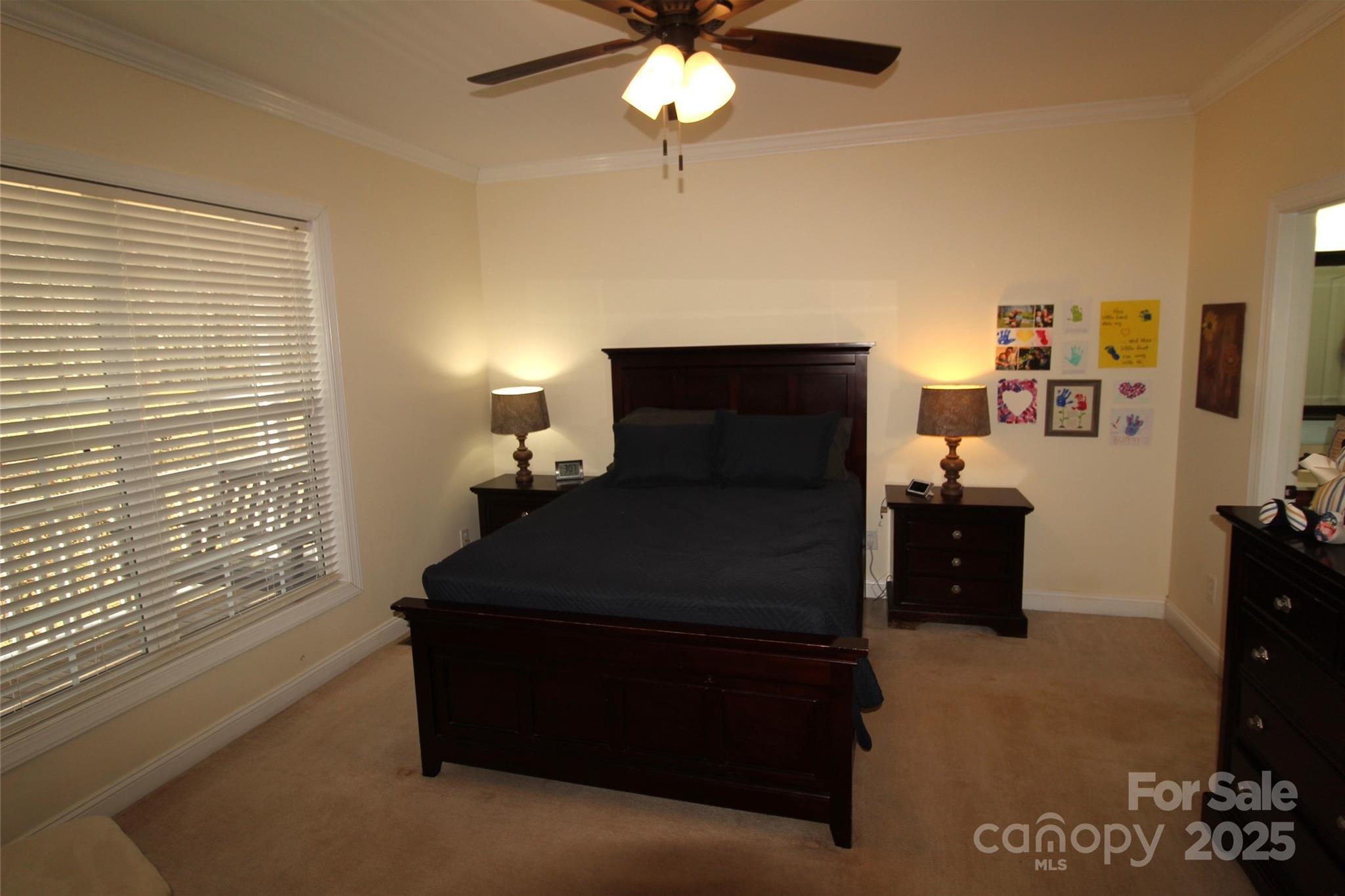 Photo #13
