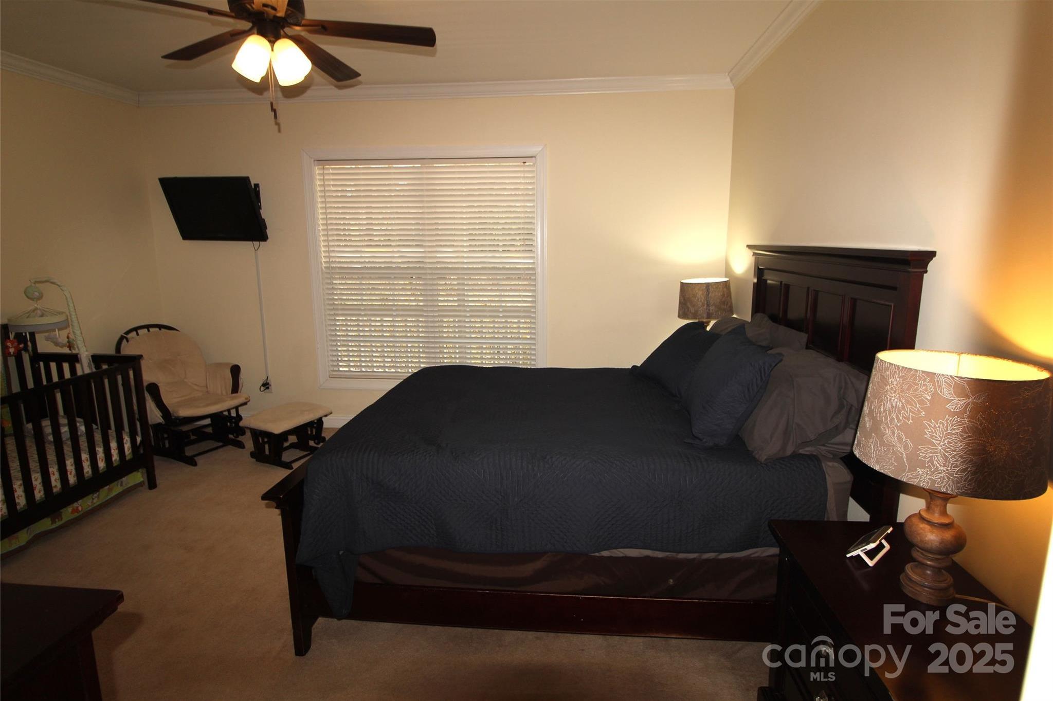 Photo #12