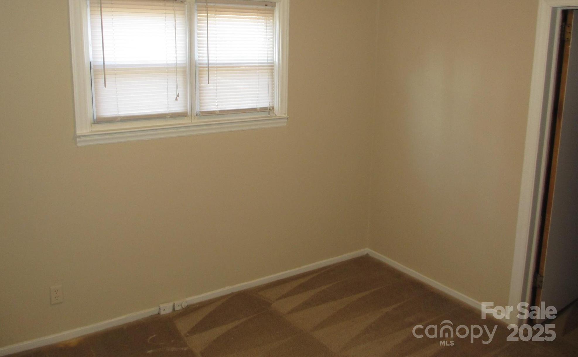 Photo #8