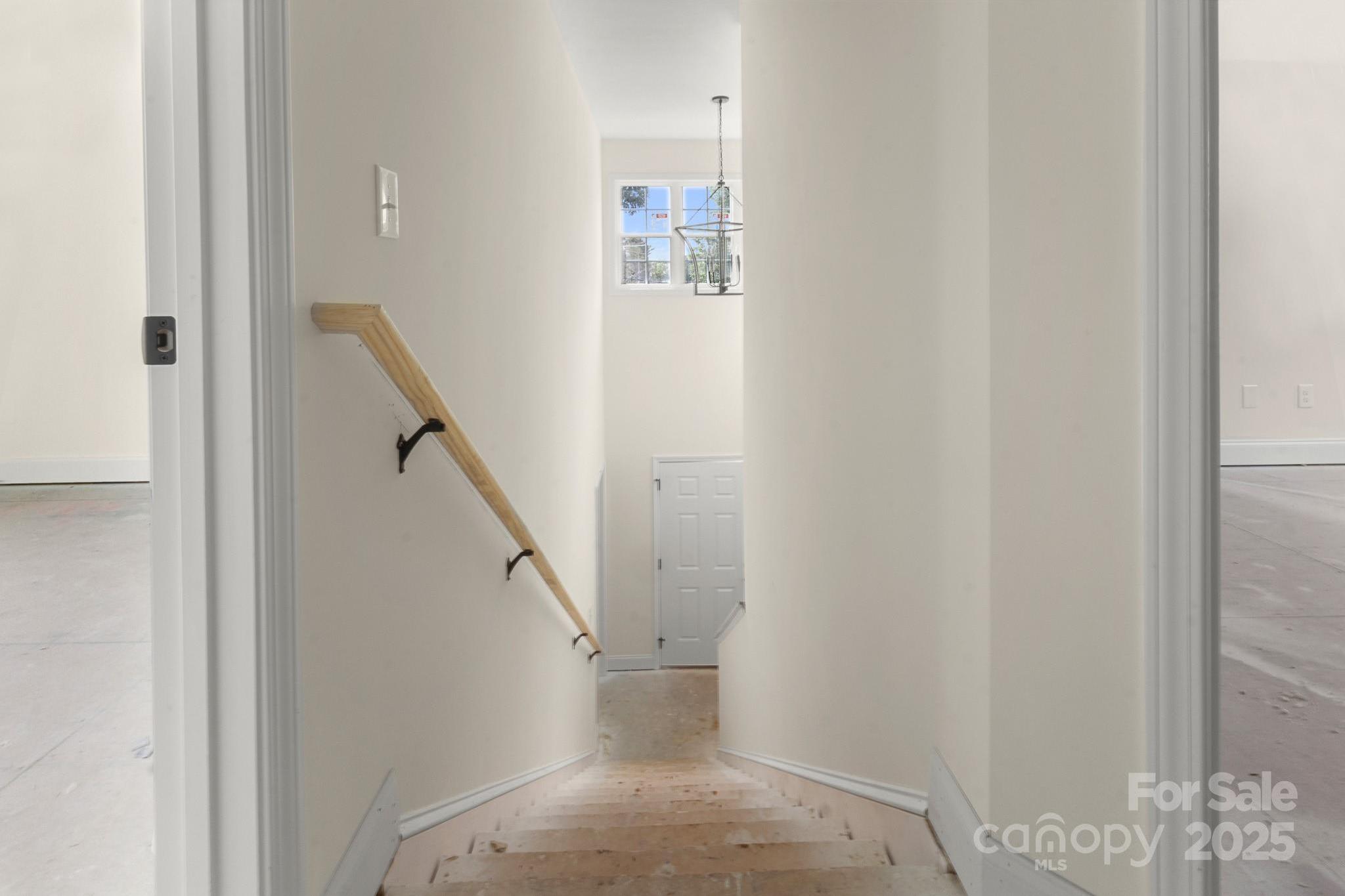 Photo #14