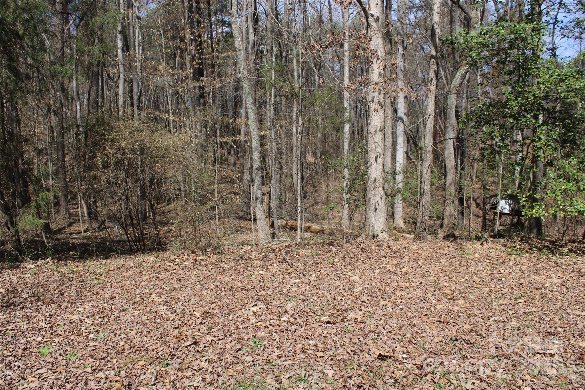 Photo #14