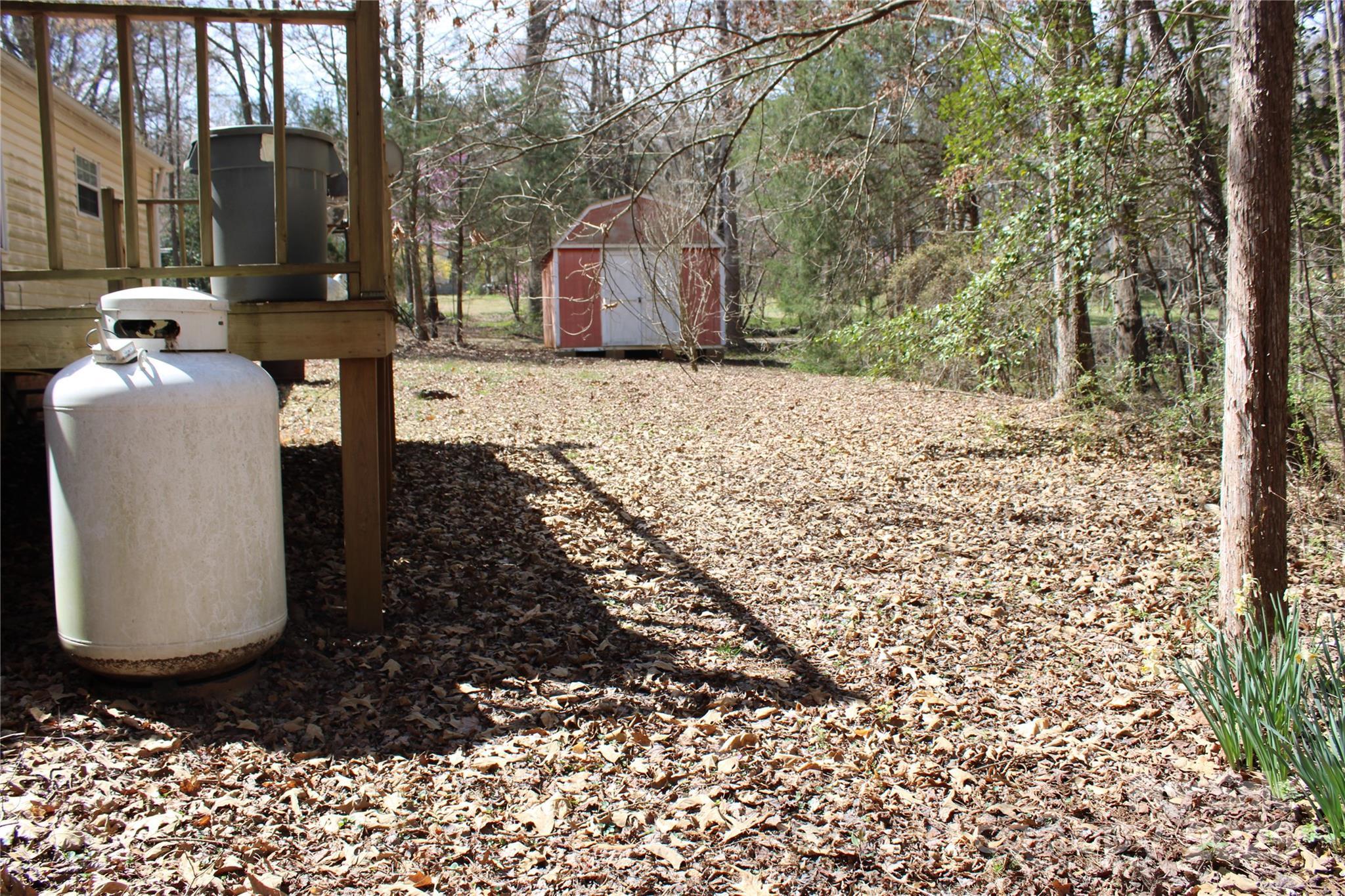 Photo #9