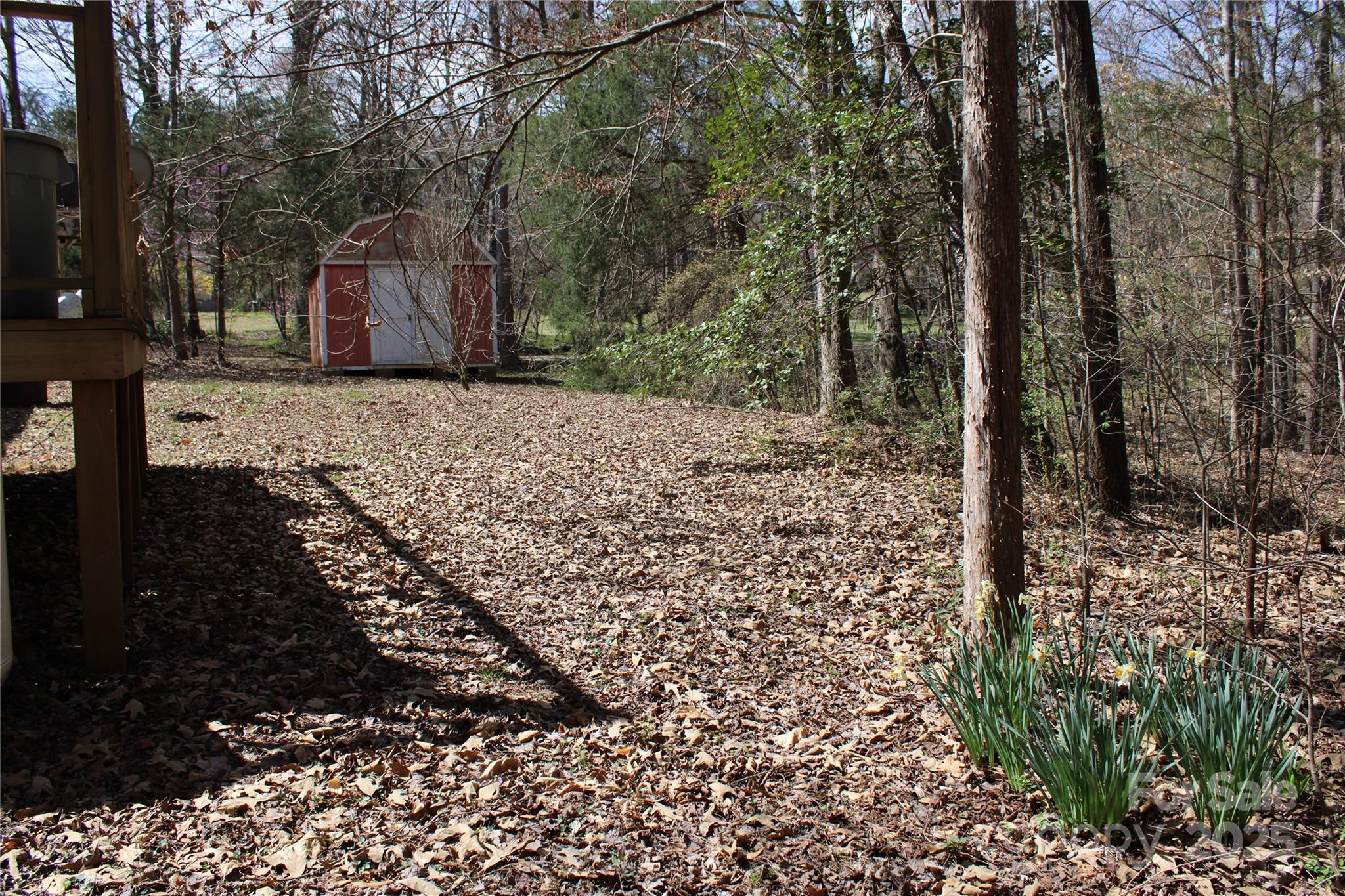 Photo #16