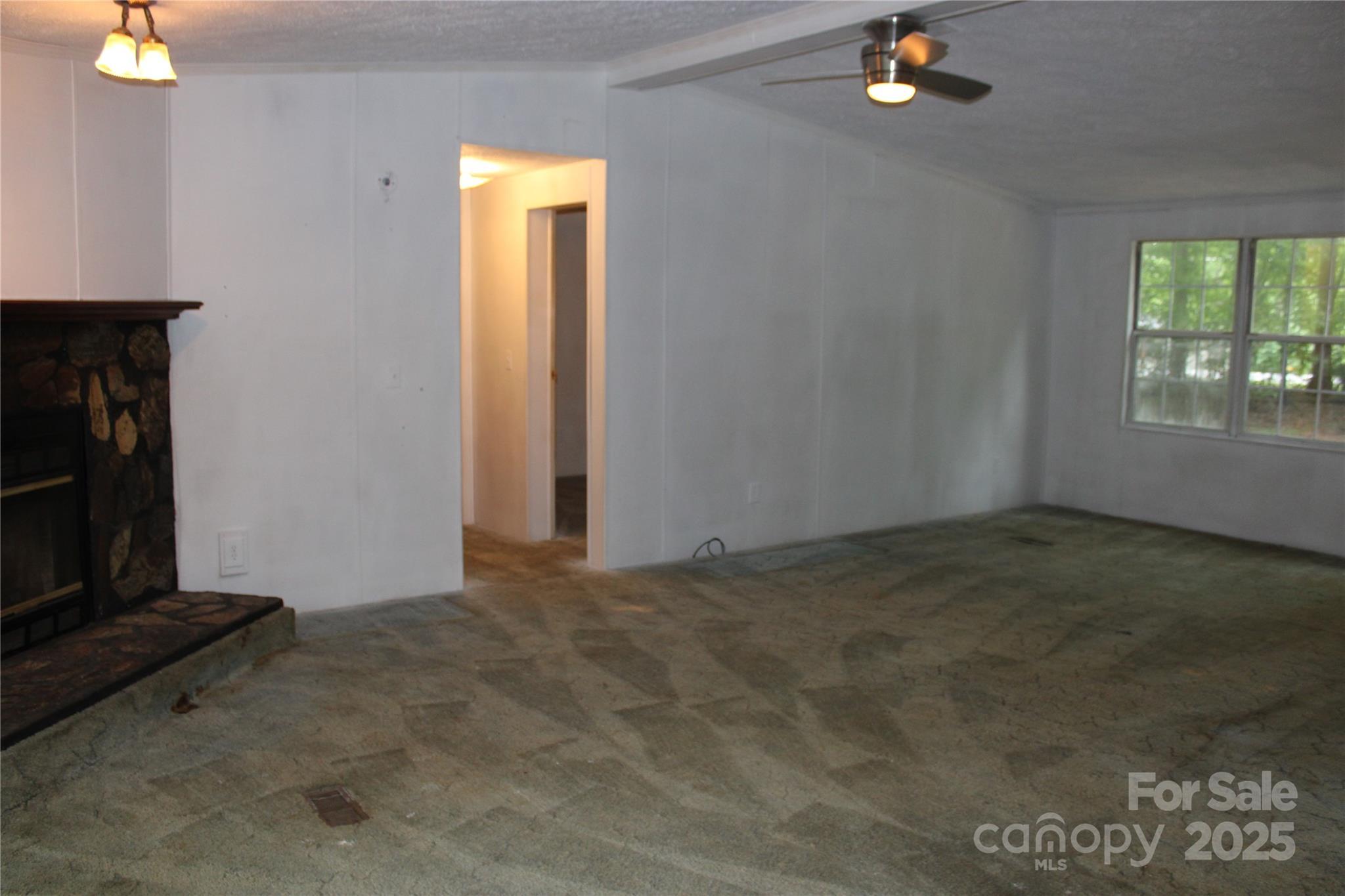 Photo #10