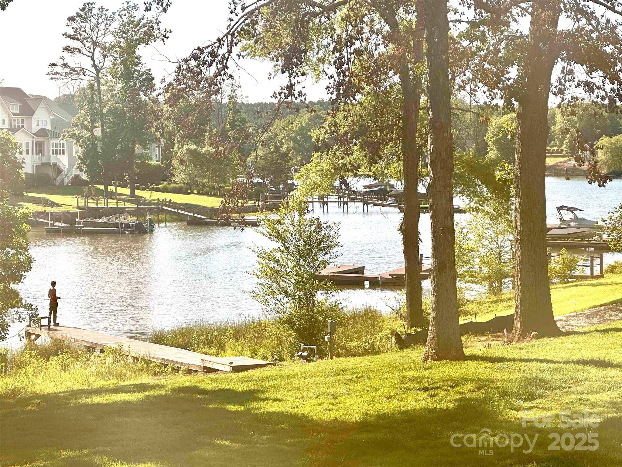 Photo #43