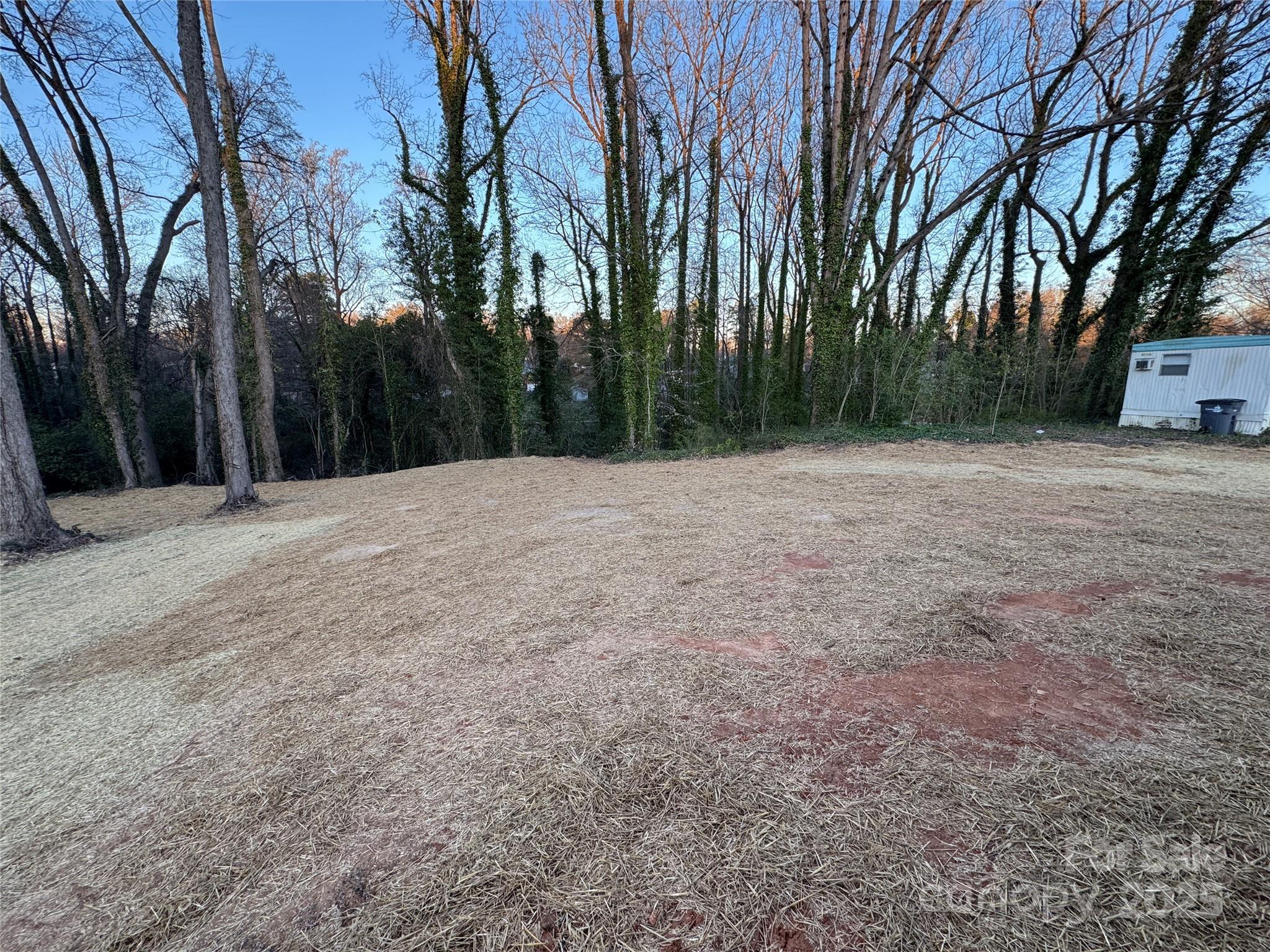 Photo #6