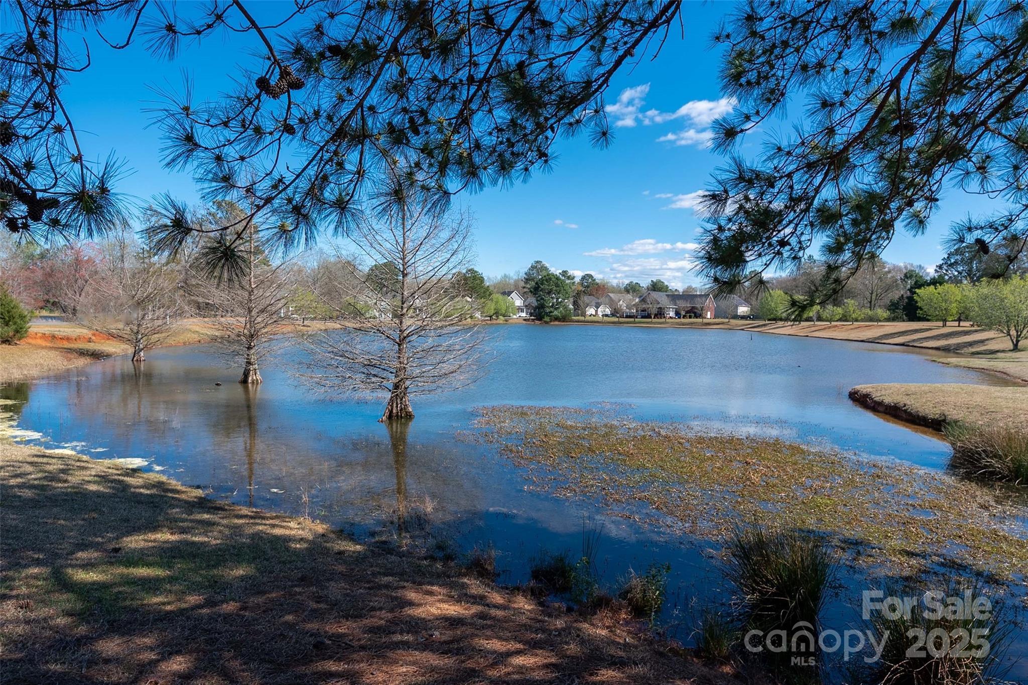 Photo #35
