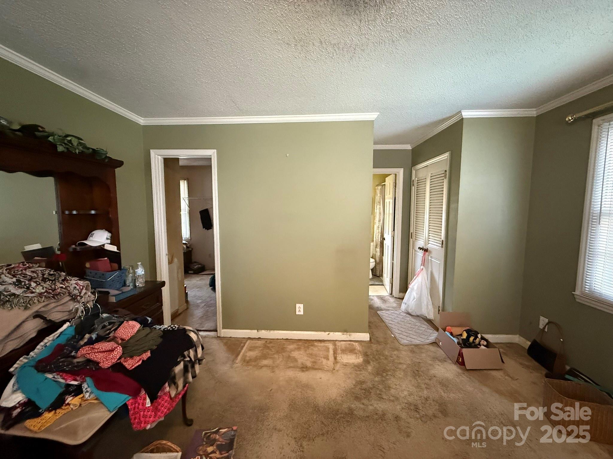 Photo #27