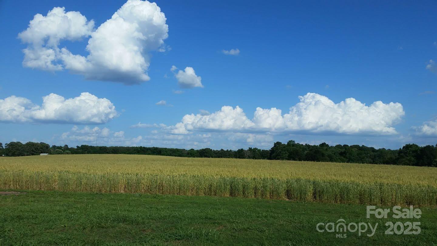 Photo #46