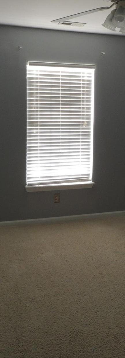 Photo #15