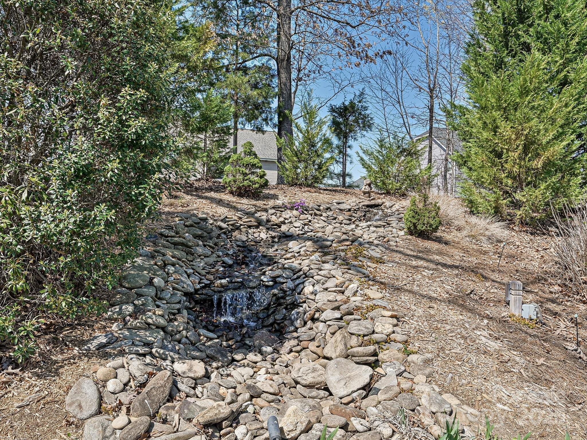 Photo #3