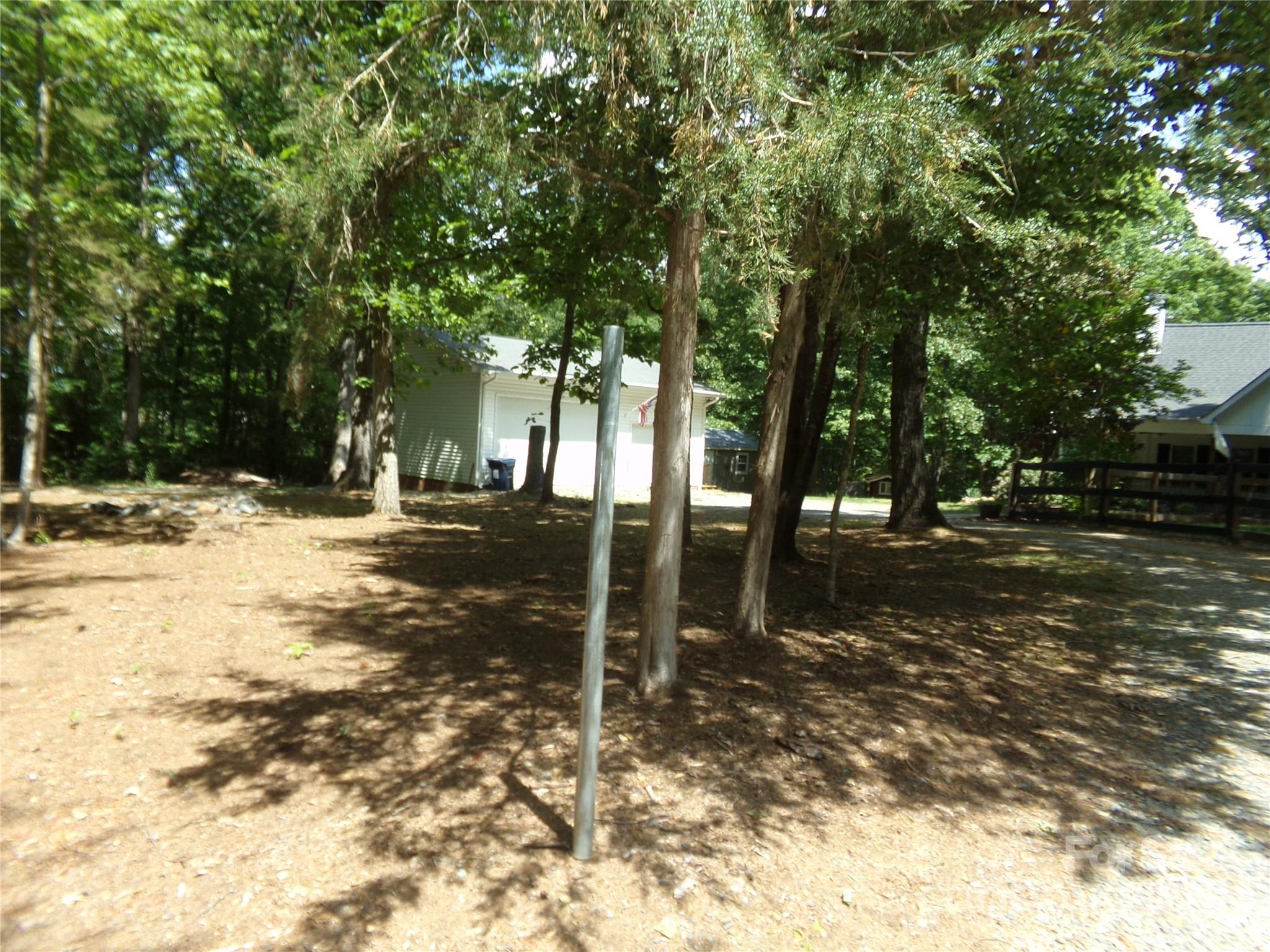 Photo #3