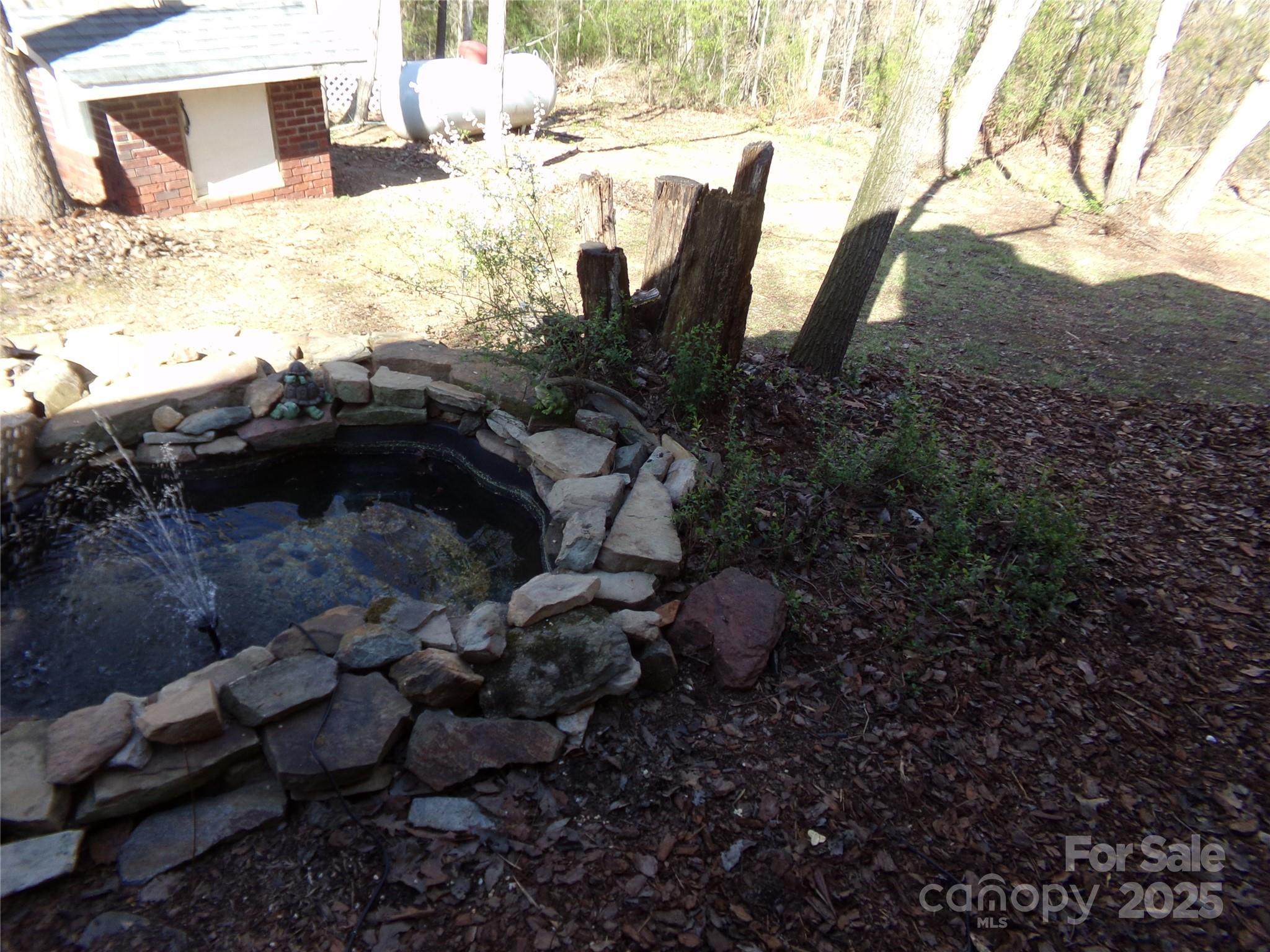 Photo #41
