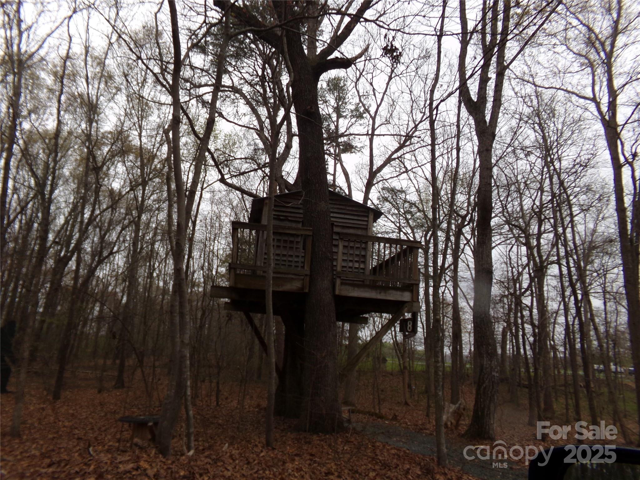 Photo #29
