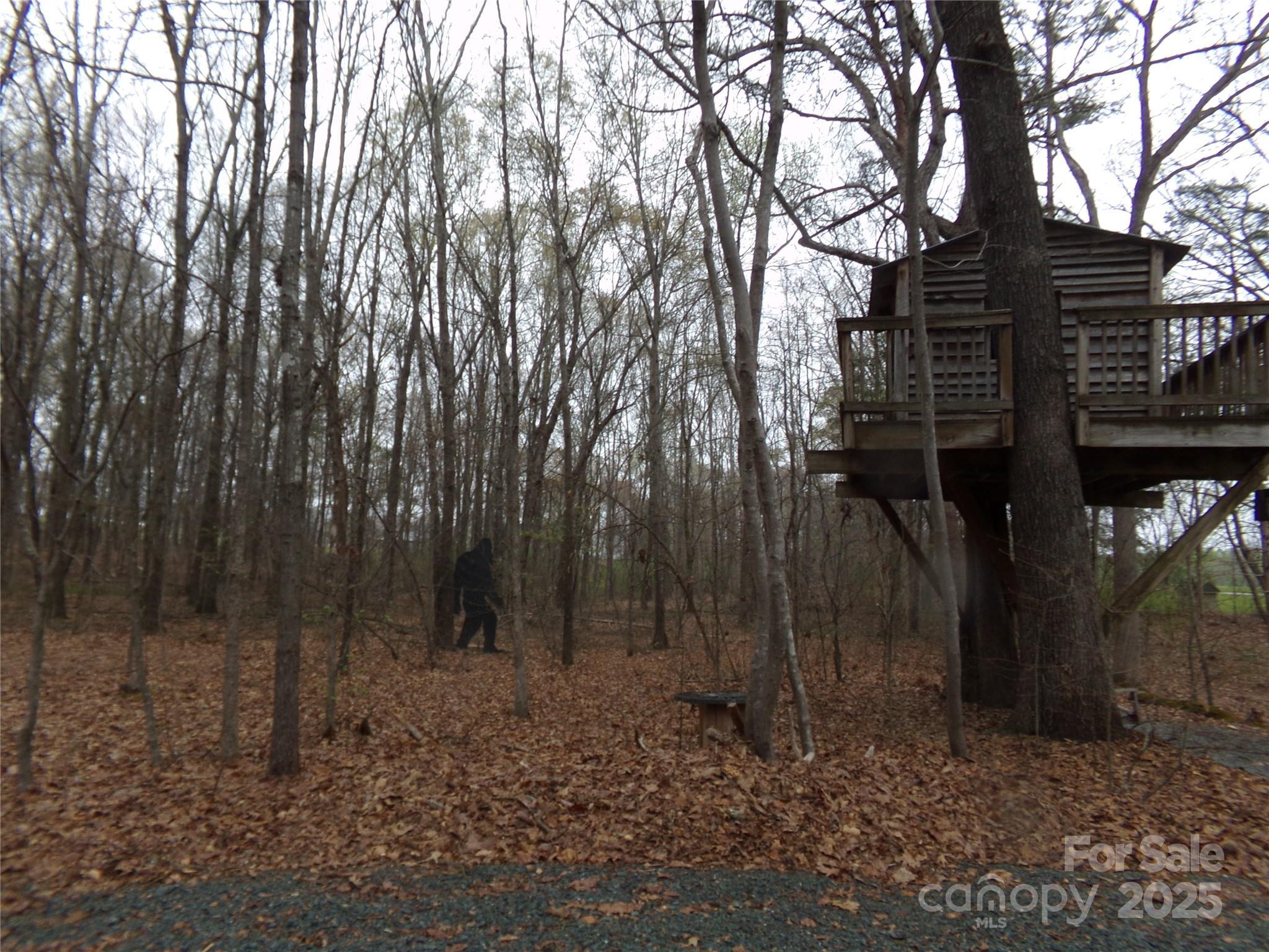 Photo #30