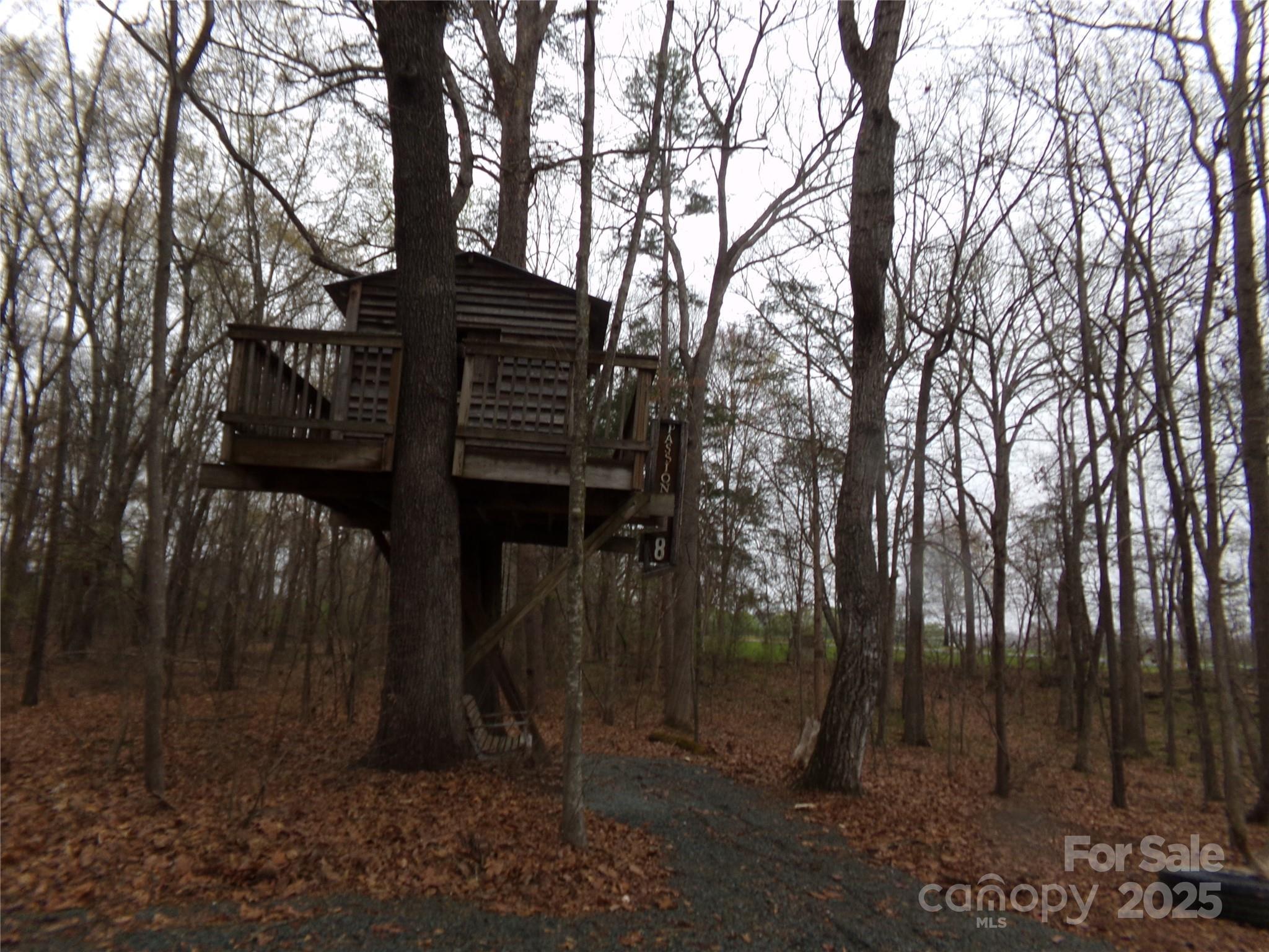 Photo #31